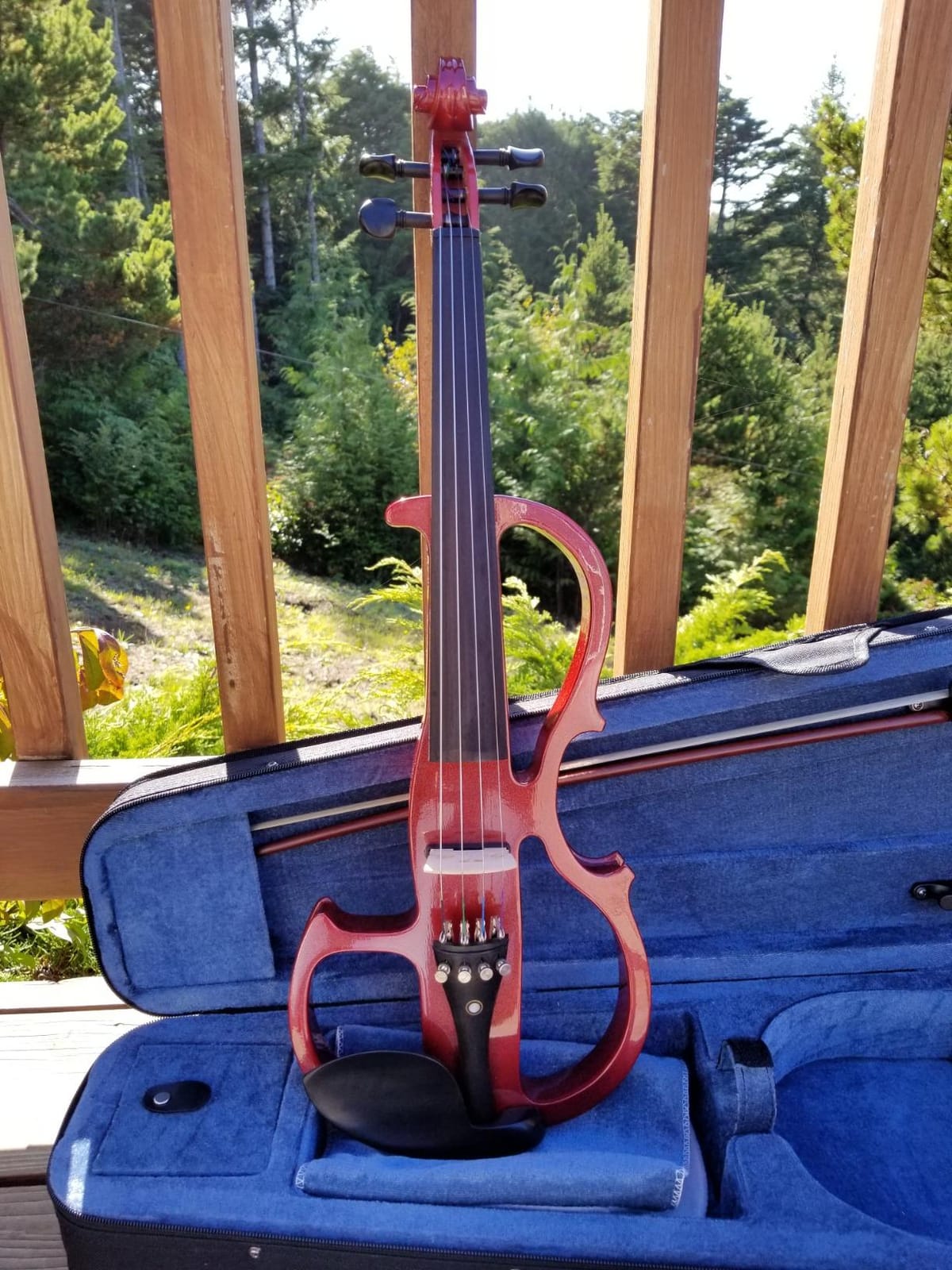 Cecilio 4/4 Full Size Electric Violin, Solid Maple with Ebony Fittings, Red customer photo 1