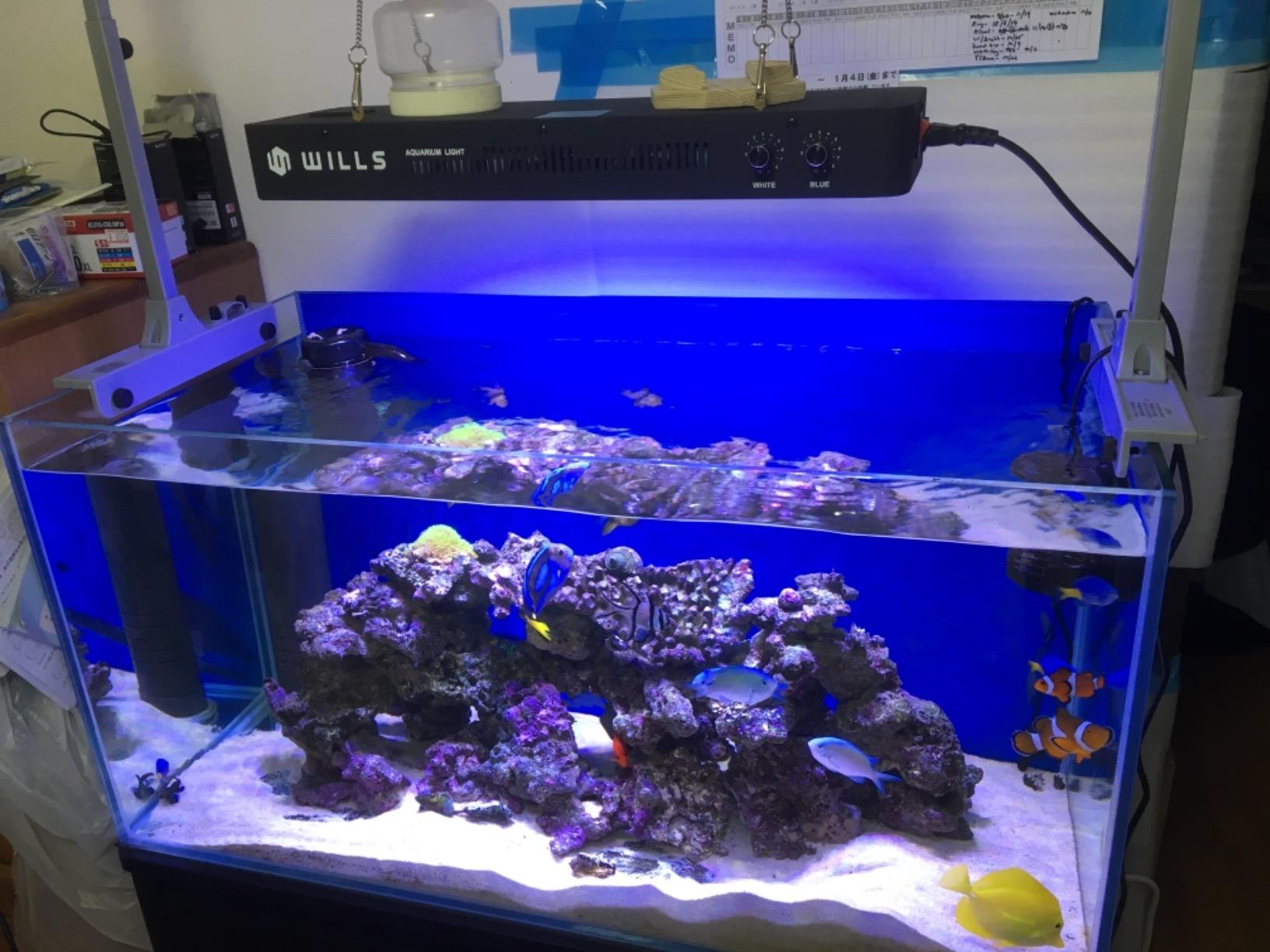 Reef Octopus Classic 110-INT Needle Wheel Protein Skimmer for Aquarium customer photo 2