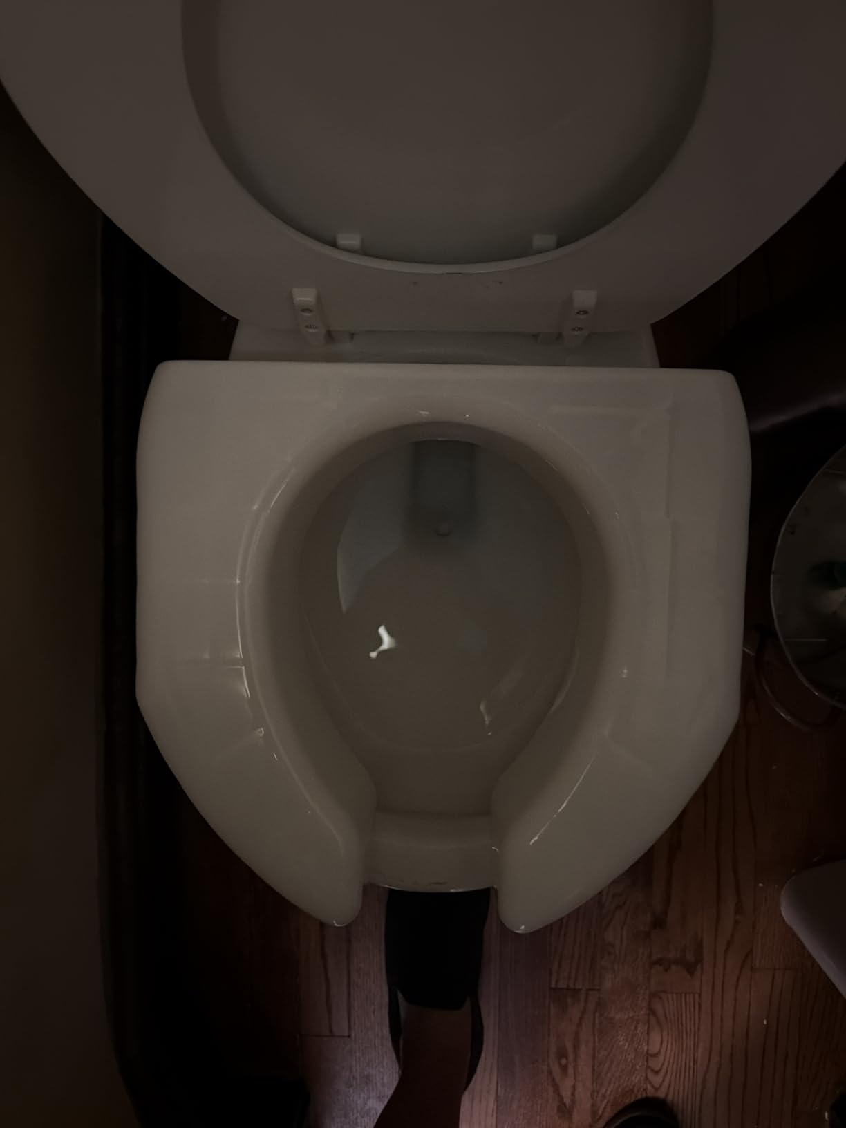 SP 3 Inch Extender Booster Elevated Raised Toilet Seat Risers for Seniors Adults Elderly Handicap Disabled Fits Most Standard and Elongated Toilets - White customer photo 1