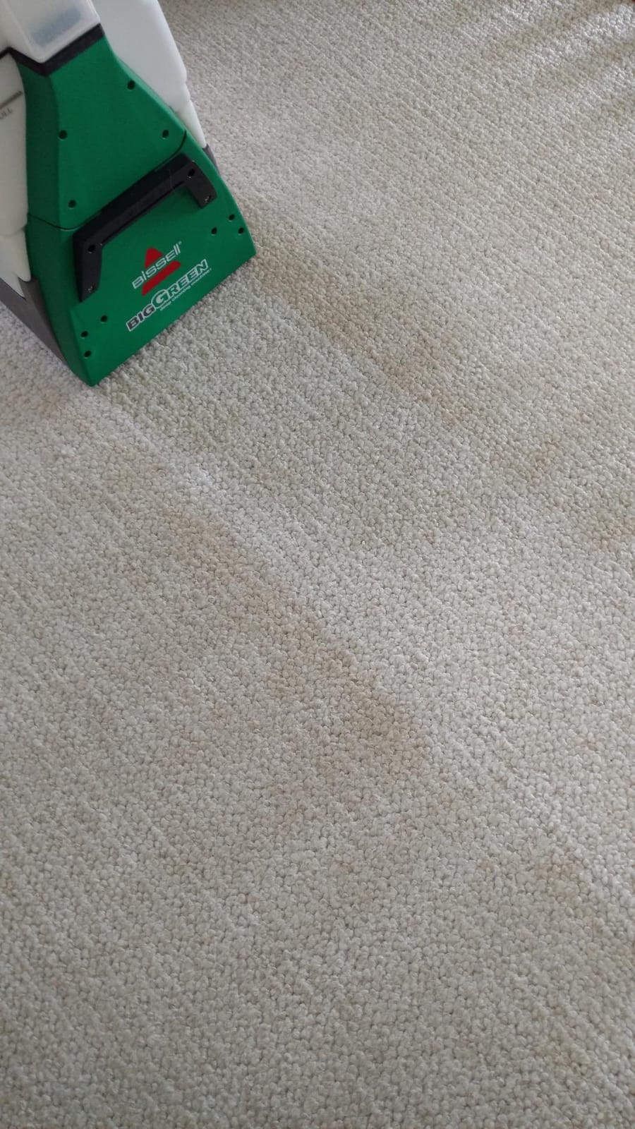 BISSELL Big Green Professional Carpet Cleaner, XL DirtLifter PowerBrush customer photo 2