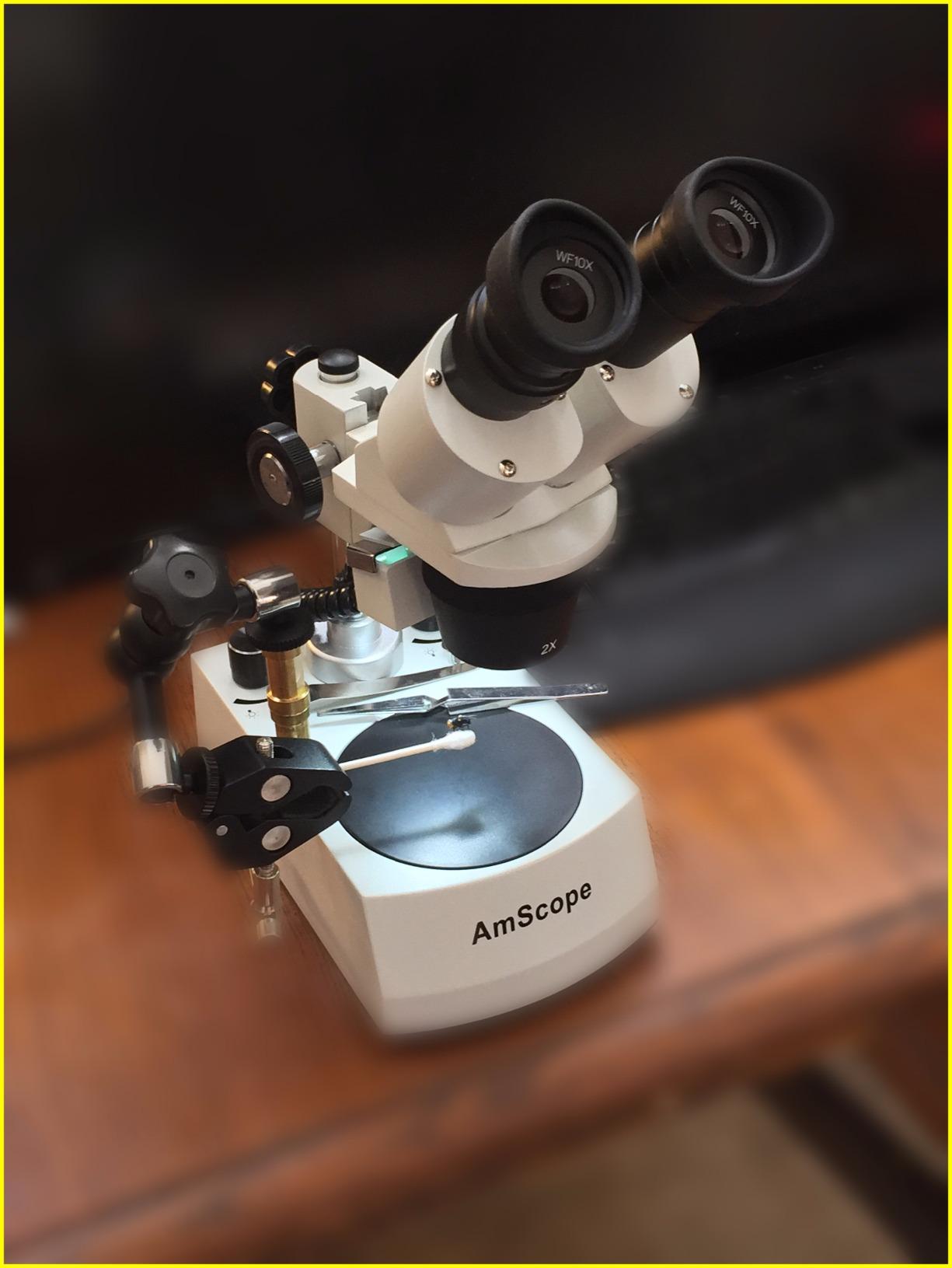 AmScope SE306R-P-LED Cordless LED Two Lights Stereo Microscope 40X customer photo 2