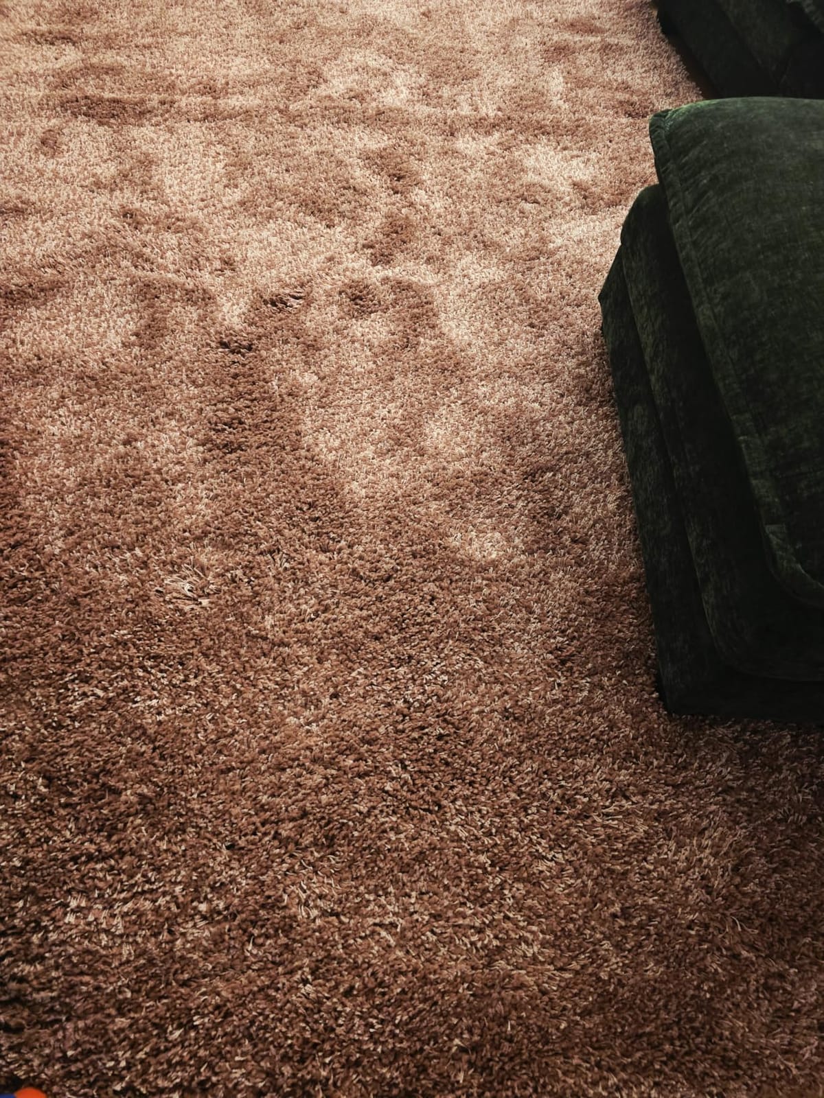 SAFAVIEH California Shag Collection Area Rug - 8'6