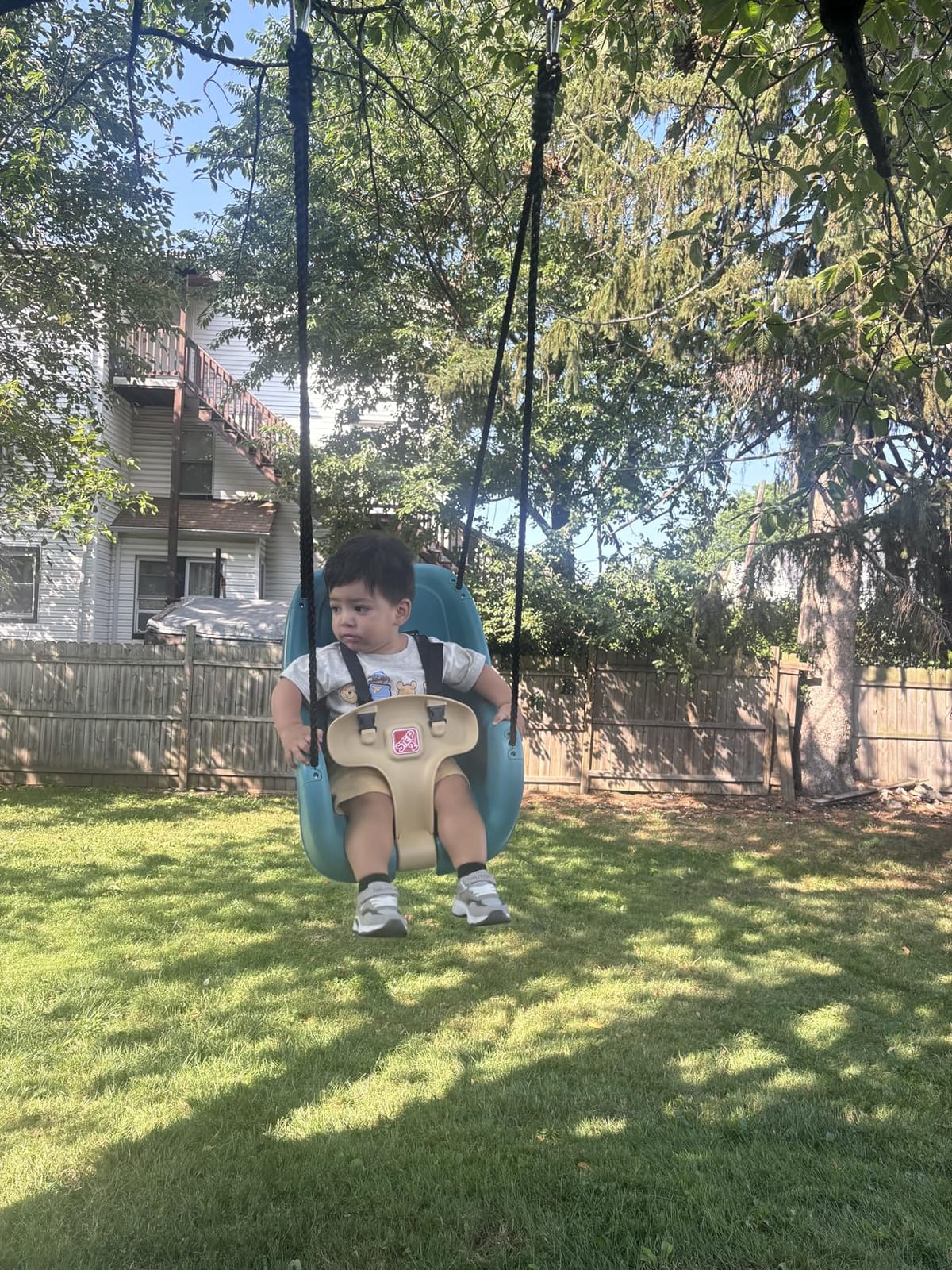 Step2 Infant to Toddler Swing, Baby Outdoor Swing, Backyard Bucket Style Swing Seat, Secure Harness, Outside Weather-Resistant Rope, Attach to Playset, For Toddlers 9 Months -3 Years Old customer photo 1