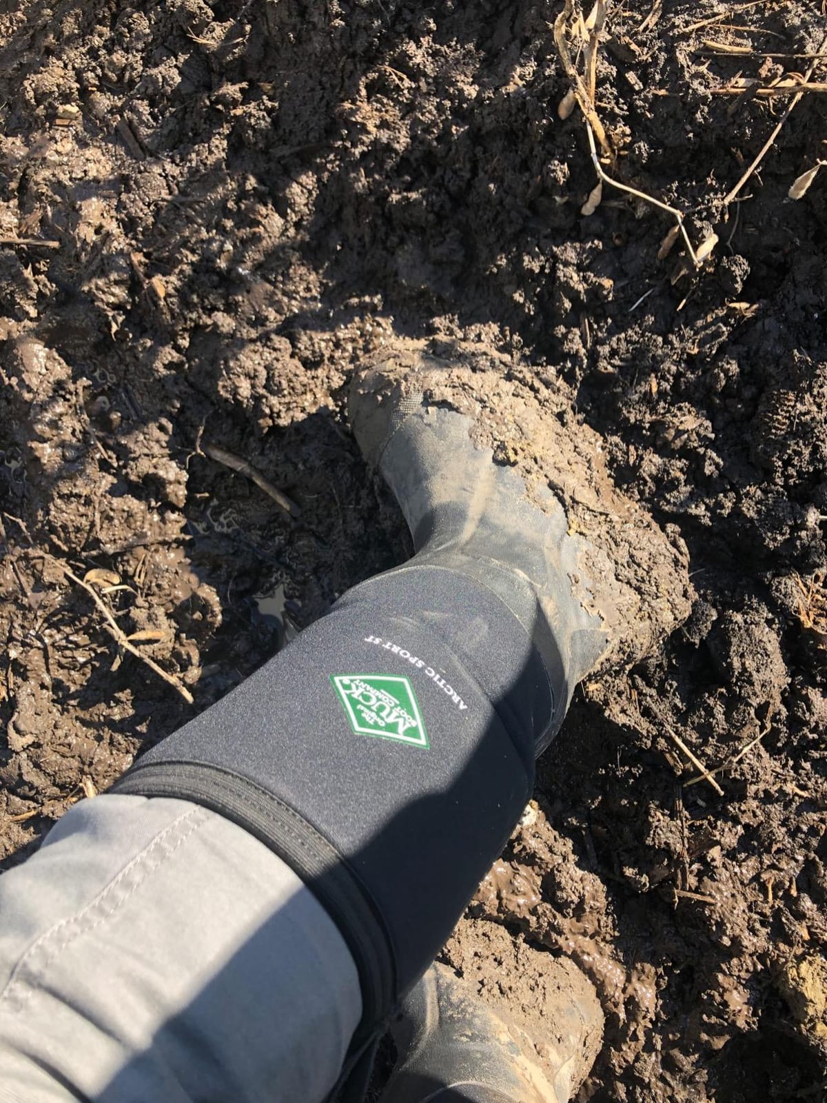 MUCK Arctic Sport Steel Toe Waterproof Insulated Work Boot customer photo 2