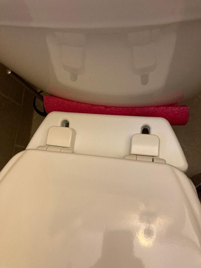 Carex Health Brands Hinged Elongated Toilet Seat Riser, Adds 3.5 Inches of Height to Toilet, 300 Pound Weight Capacity, Raised Toilet Seat, White (FGB32100 0000) customer photo 1