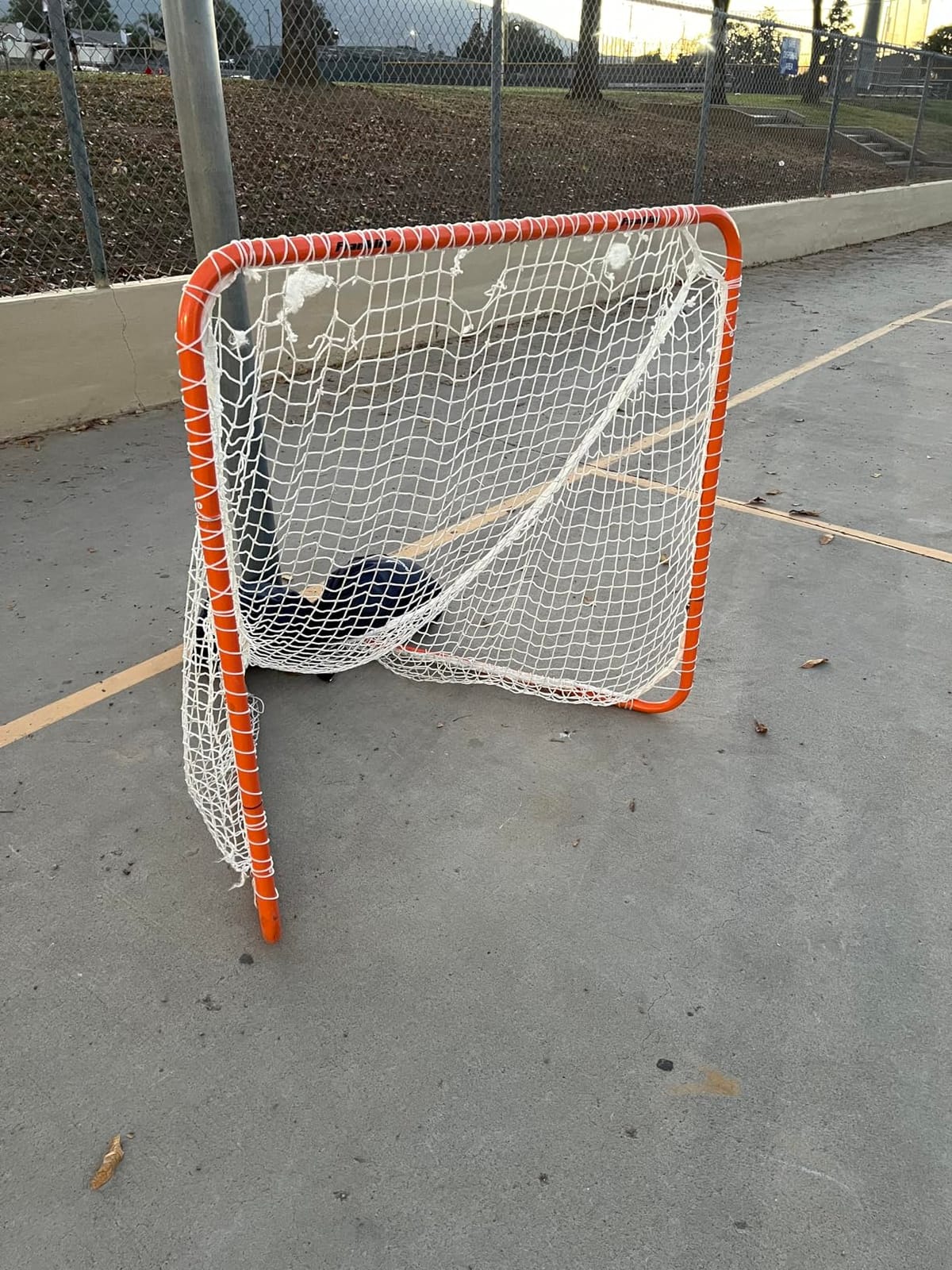 Franklin Sports Franklin Sports Backyard Lacrosse Goal - Kids + Adult Lacrosse Training Net - Lacrosse Training Equipment - Perfect for Youth + Adult Training customer photo 2