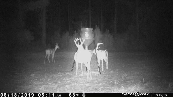 BOSS BUCK 350 LB Deer Feeder/Hunting Durable Lightweight Plastic UV Protected Windproof Waterproof Gravity Feed with Protein 3 Feed Tubes Head, Multi-Piece Round Legs customer photo 1