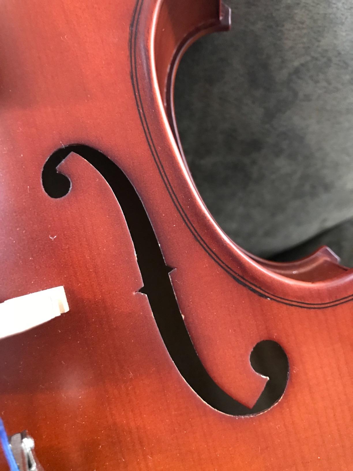 Cecilio Solid Wood Viola 16 Inch Viola Full Size, Professional Handcrafted Acoustic Viola with Ebony Fittings, D'Addario Prelude Strings, Antique Satin Finish customer photo 1