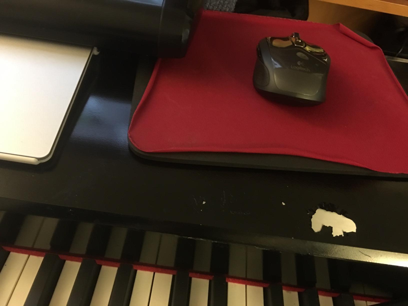 VPC1 Virtual Piano Controller customer photo 2