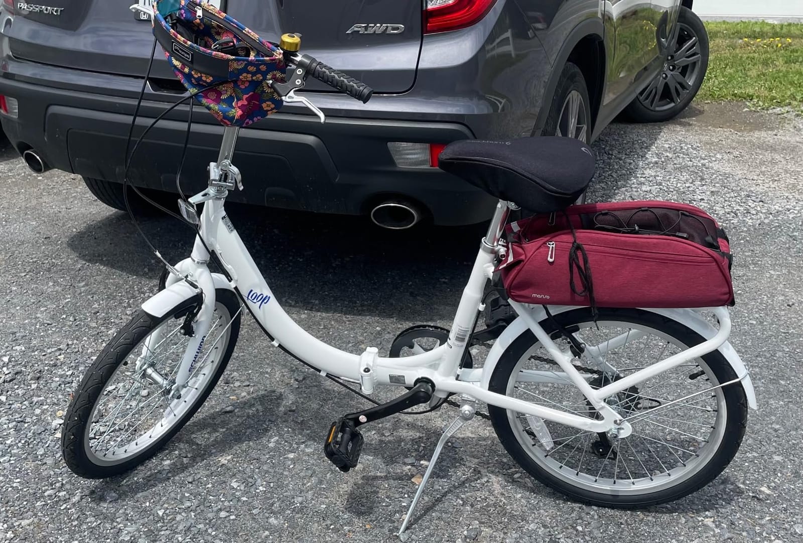 Schwinn Loop customer photo 1