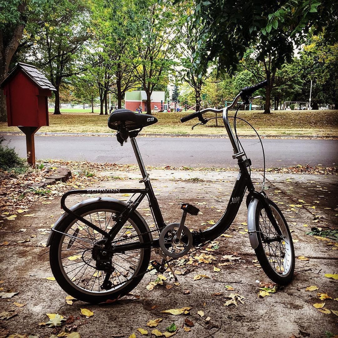 Schwinn Loop customer photo 2
