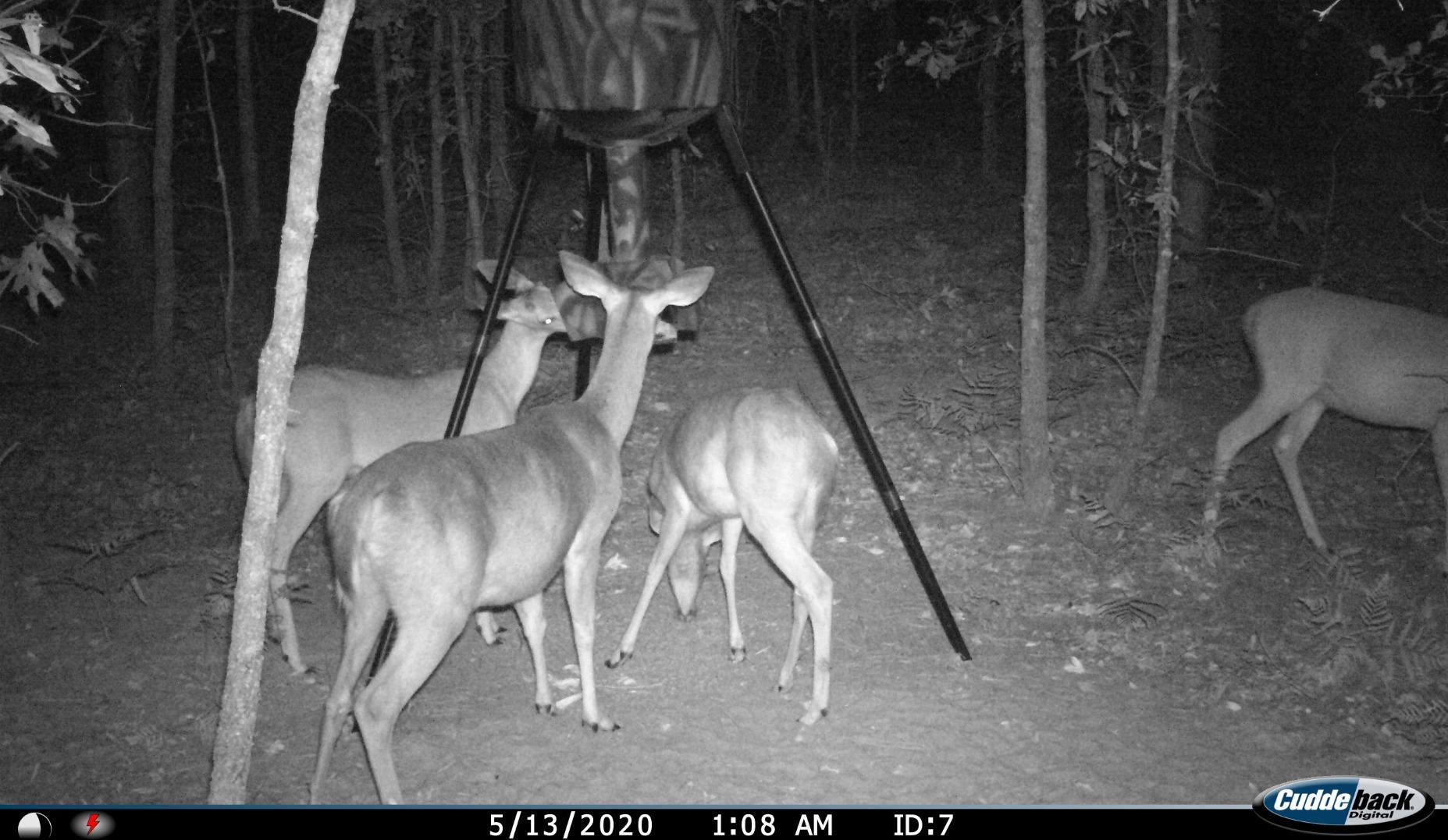 Wildgame Innovations Quick-Set 270 lb Game Feeder customer photo 2