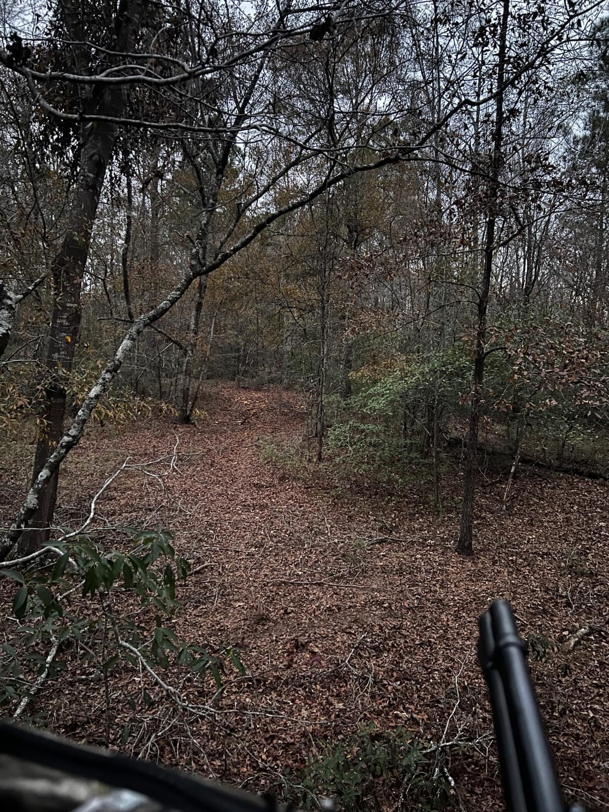 Summit Treestands Goliath SD Climbing Treestand, Mossy Oak customer photo 1