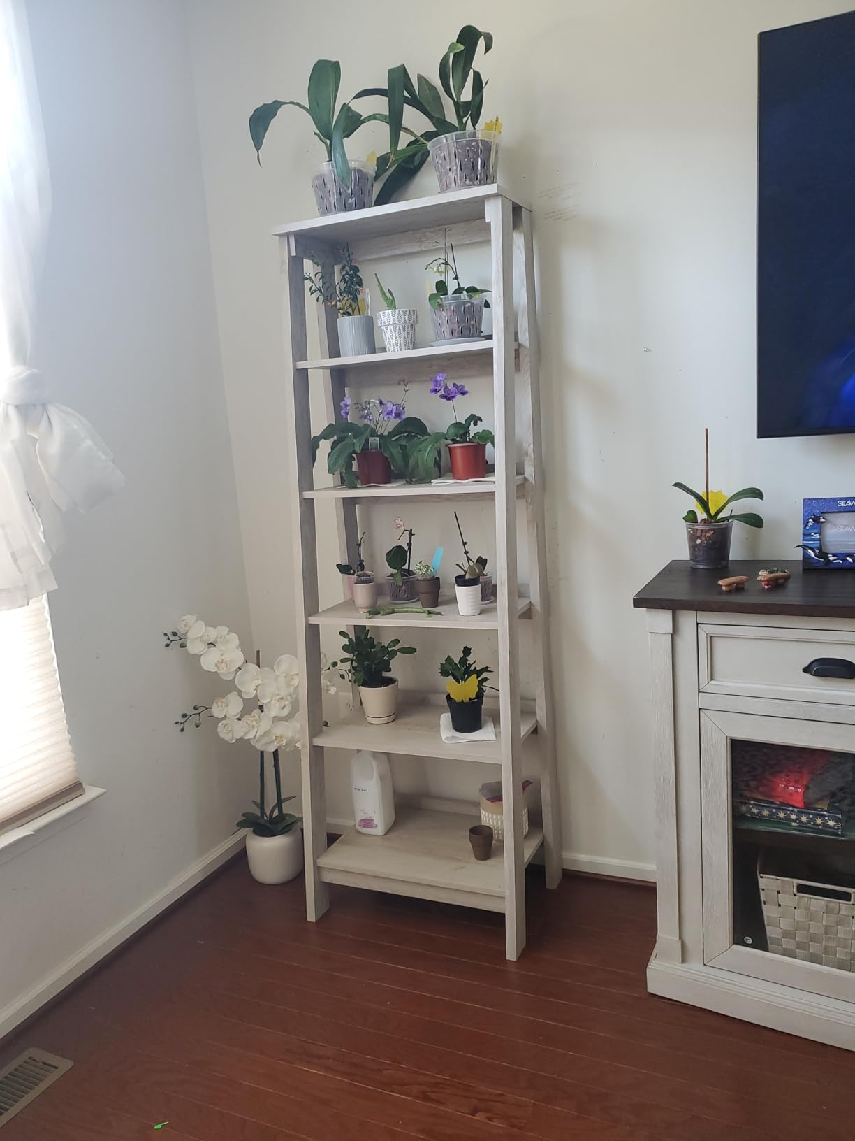 Sauder Ladder Bookshelf 5 Tier Trestle Ladder Shelf Wooden Bookcase, in Jamocha Wood customer photo 1