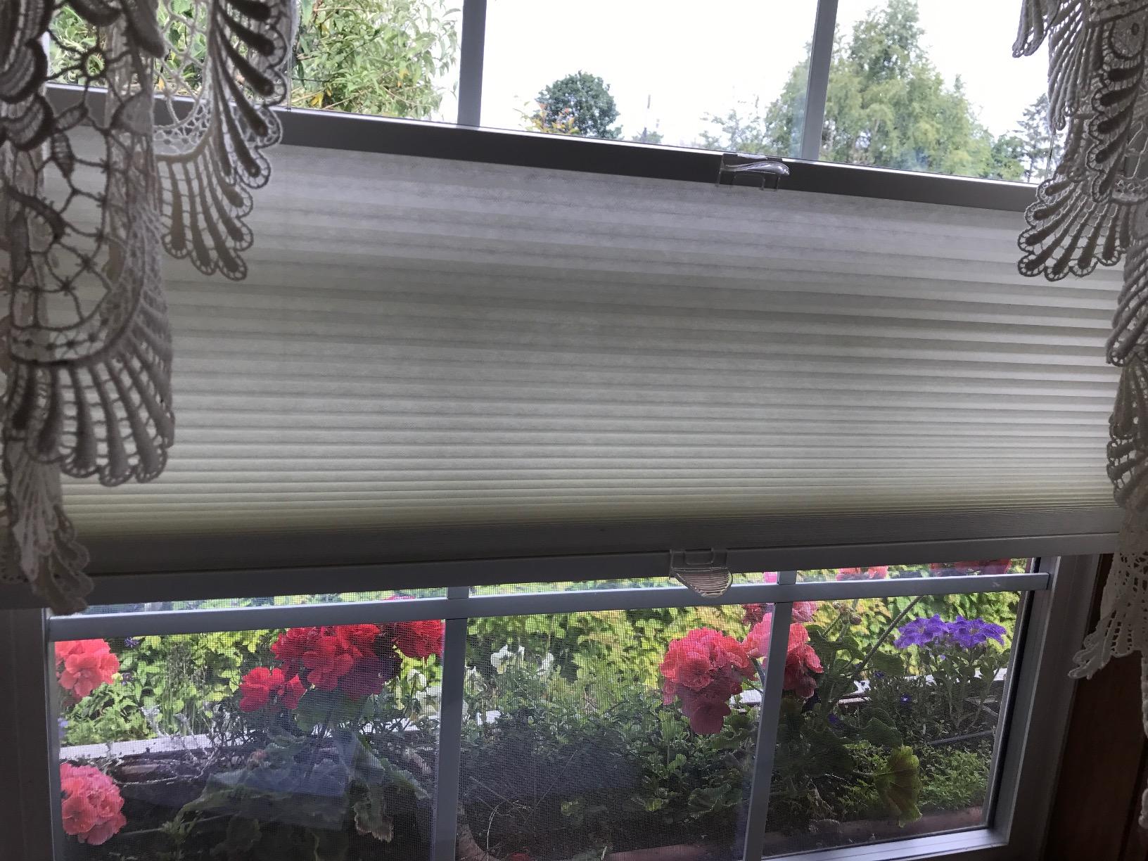 Cordless Top Down Bottom Up Cellular Honeycomb Shades, 31W x 72H, Ivory Beige, Sizes 18-38 Wide customer photo 1