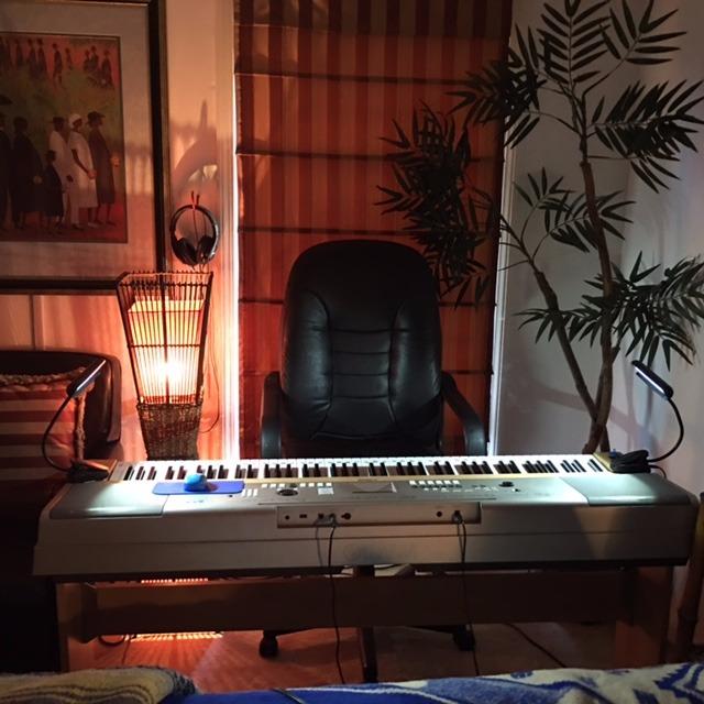 SumDirect Music Stand Light - 9 LED Adjustable Clip on Piano Lights, USB and Battery Operated, Perfect for Piano, Book Reading, Orchestra, Podium, Easel customer photo 1