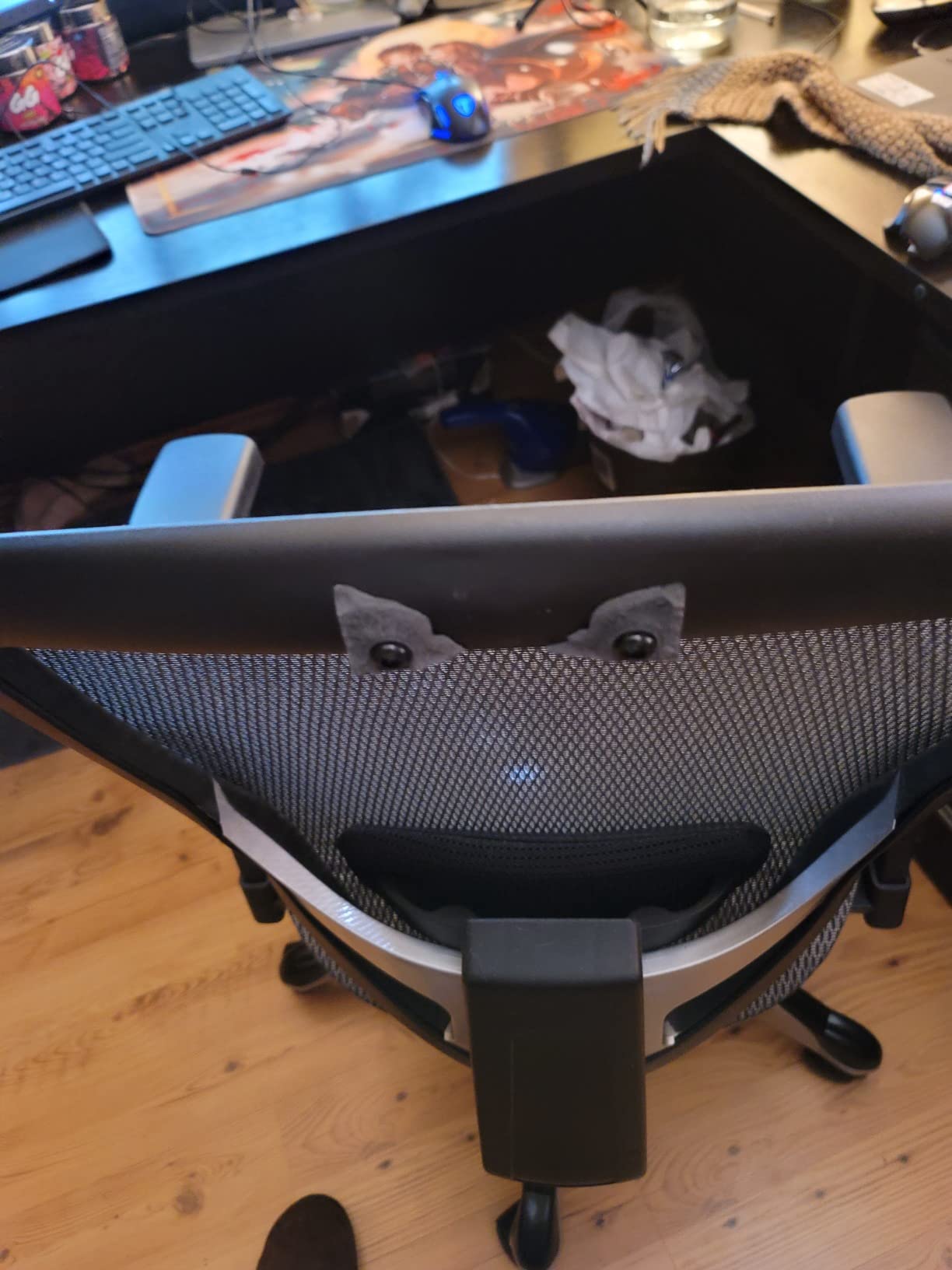 Staples Hyken Ergonomic Mesh Task Chair, Lumbar Support, Swivel, Black customer photo 1