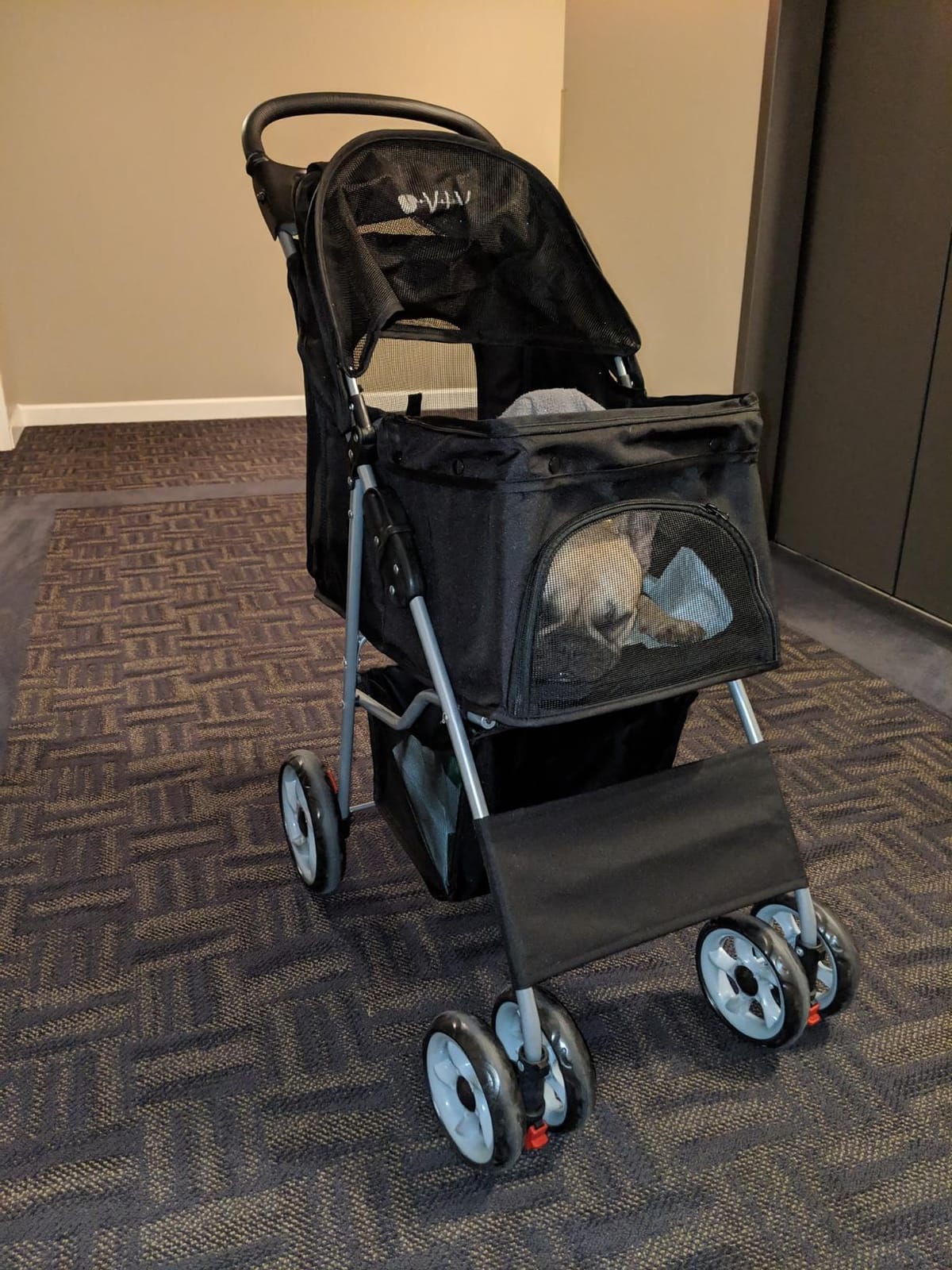 VIVO Black 4 Wheel Pet Stroller for Cat, Dog and More, Foldable Carrier Strolling Cart, STROLR-V001K customer photo 2