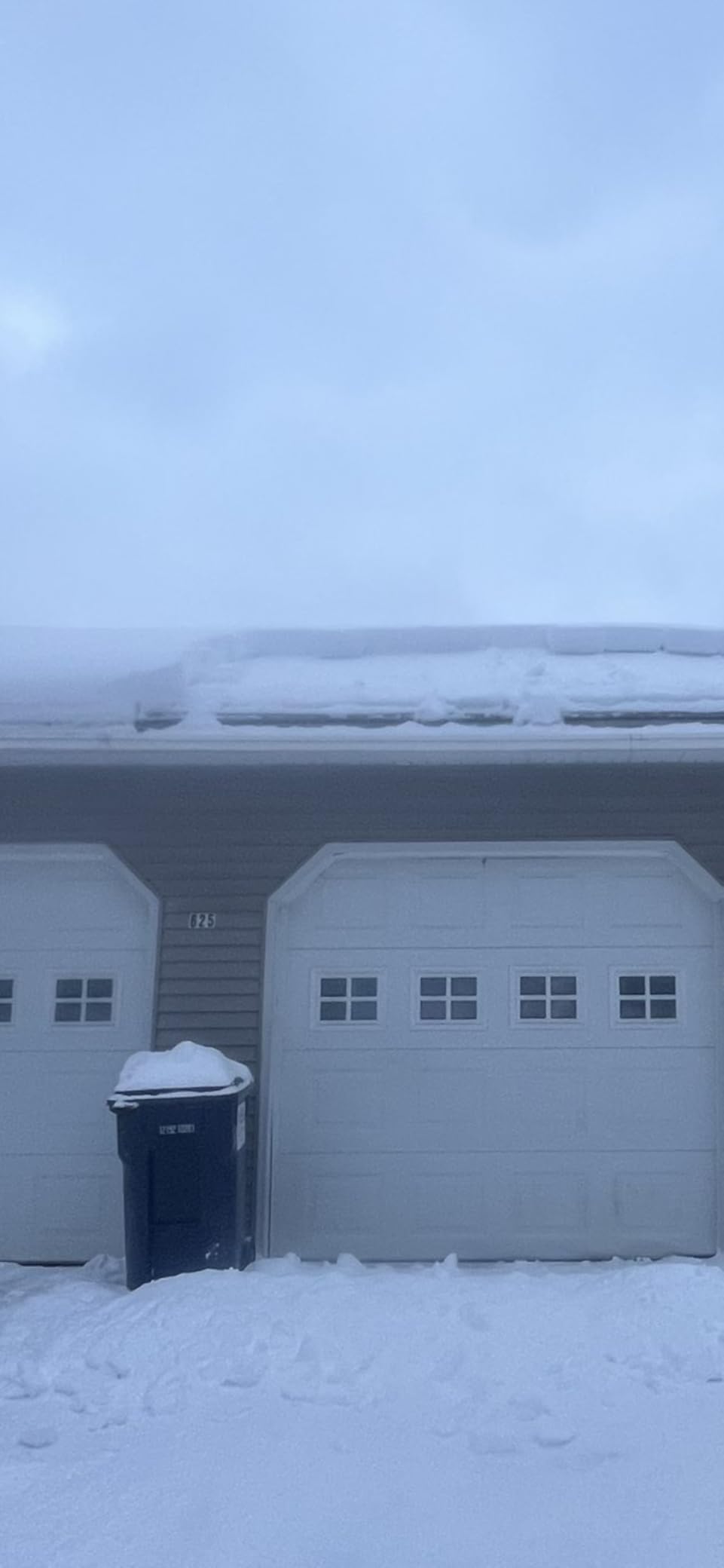Avalanche! Heavy Duty Roof Snow Rake, Snow Removal, Assembled in USA customer photo 1