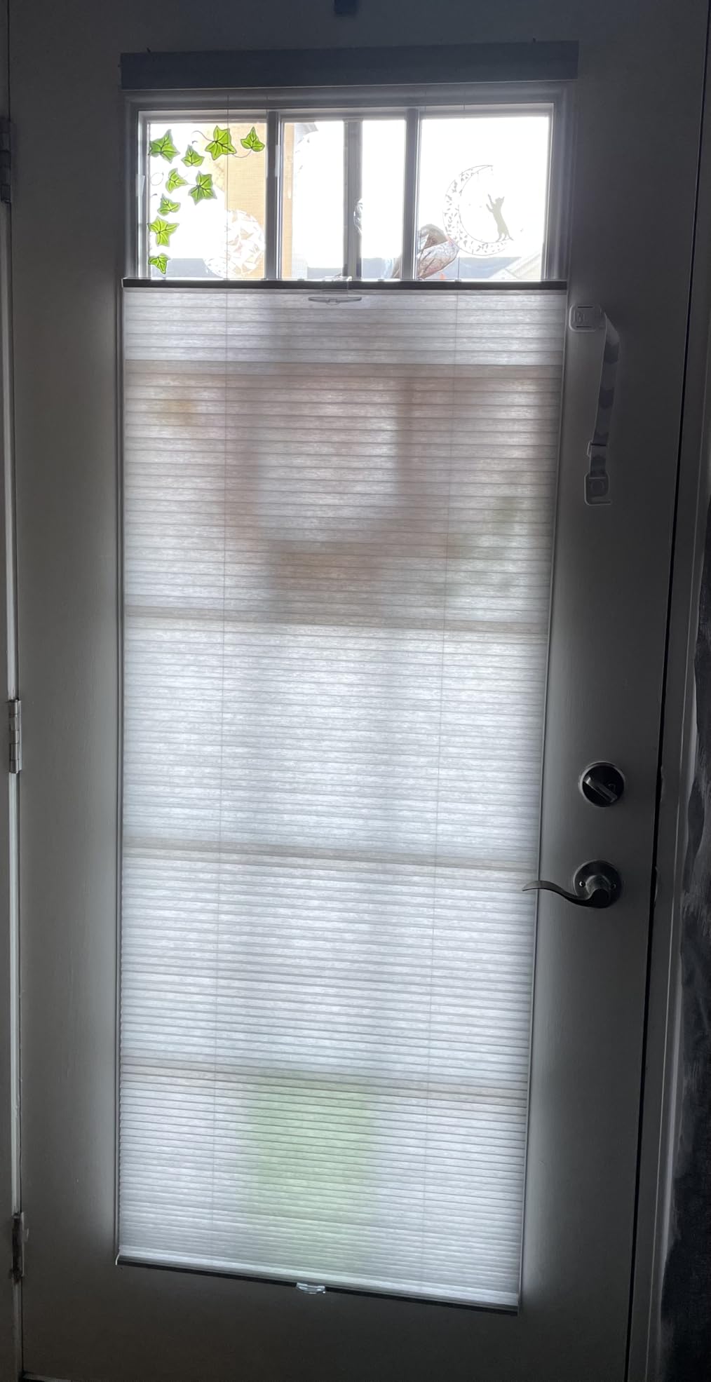 Cordless Cellular Pleated Shades, 27 x 64 in, White, Light Filtering customer photo 2
