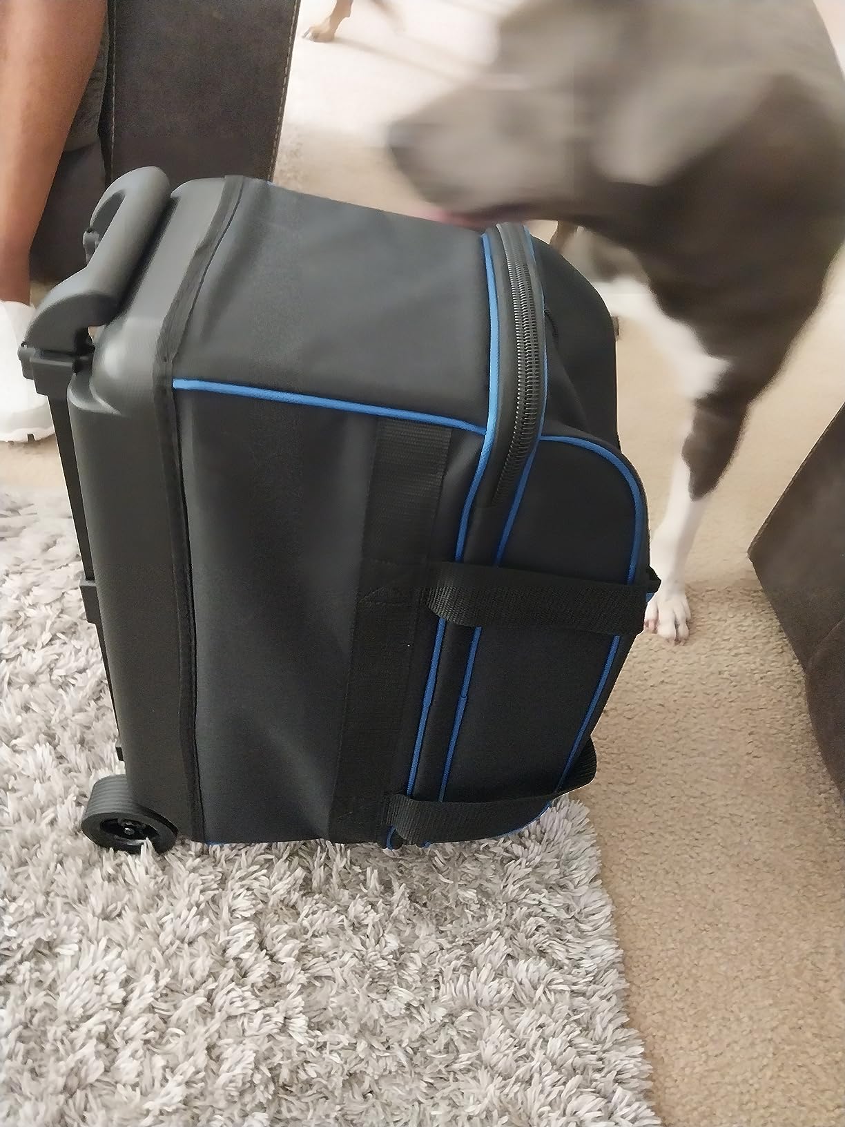 Pyramid Prime Double Roller 2 Ball Bowling Bag with Large Separate Compartment for Bowling Shoes (Up To US Mens Size 16) or Accessories, Locking Handle - Extends to 40