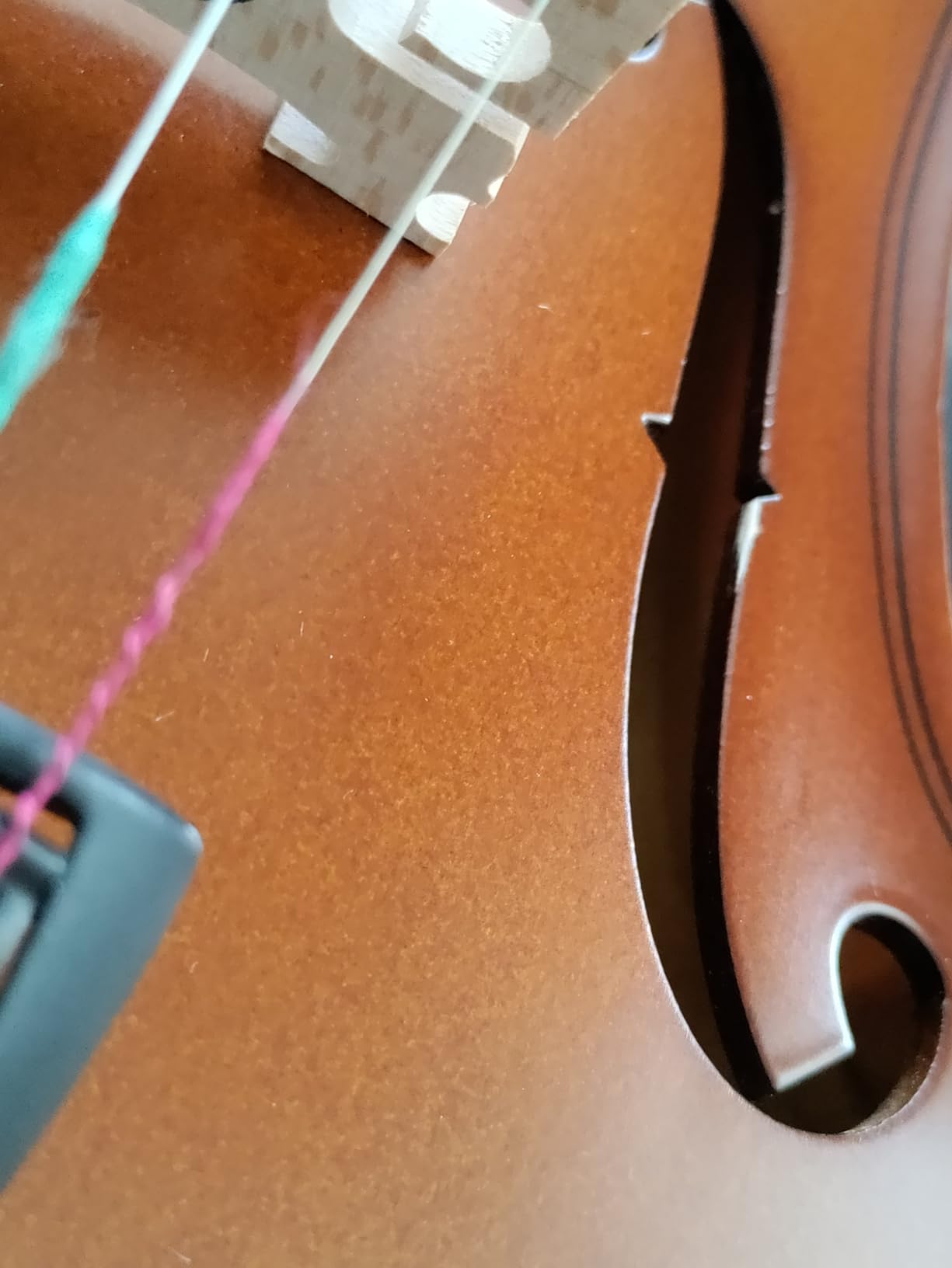 Paititi 1/2 Size Artist-100 Student Violin Starter Kit with Brazilwood Bow Lightweight Case, Shoulder Rest, Extra Strings and Rosin customer photo 1
