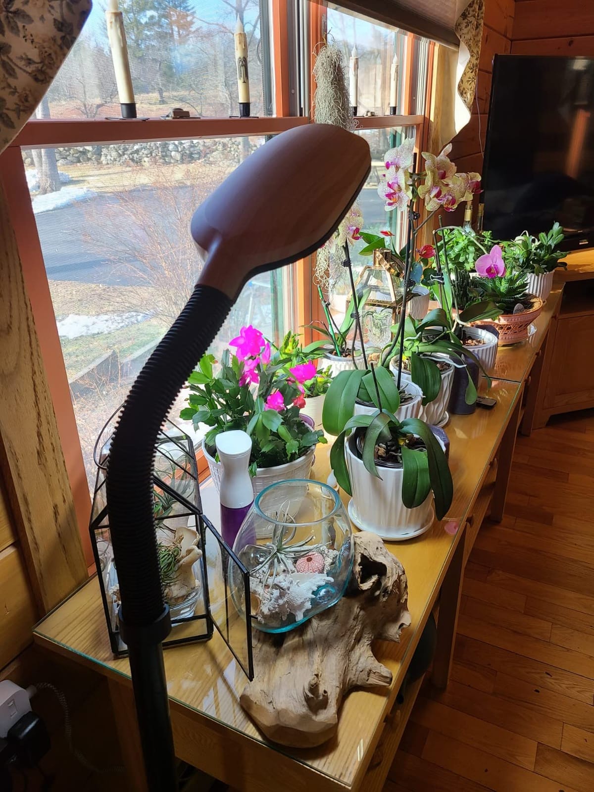 Brightech Litespan Slim LED Floor Reading Lamp - Tall with Adjustable Gooseneck, Dimmable for Living Rooms, Offices & Bedrooms - Black customer photo 2