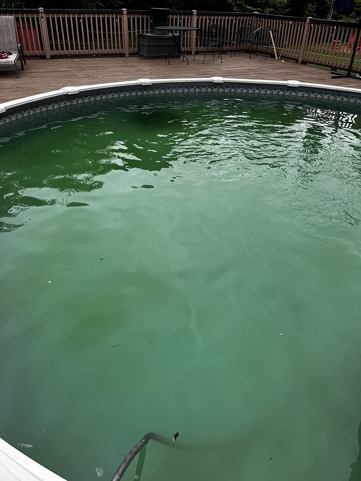 (2026 Model) Nautilus AG Automatic Robotic Pool Vacuum Cleaner, Active Scrubber Brush, Top Load Filters Access, Ideal for Above-Ground Pools up to 33 FT in Length customer photo 2