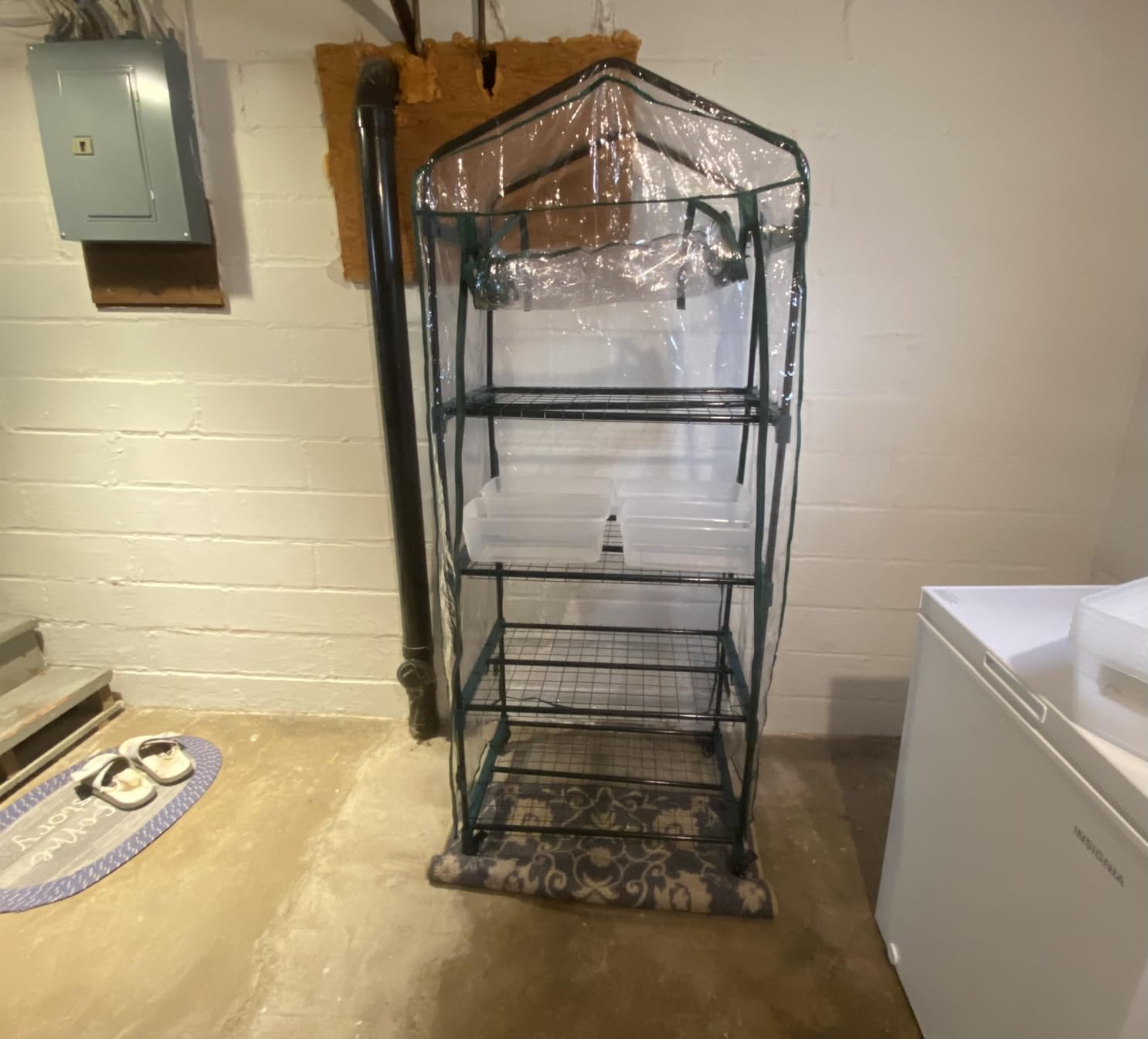 4 Tier Mini Greenhouse - Portable Greenhouse with Locking Wheels and PVC Cover for Indoor or Outdoor Green House by Pure Garden customer photo 2