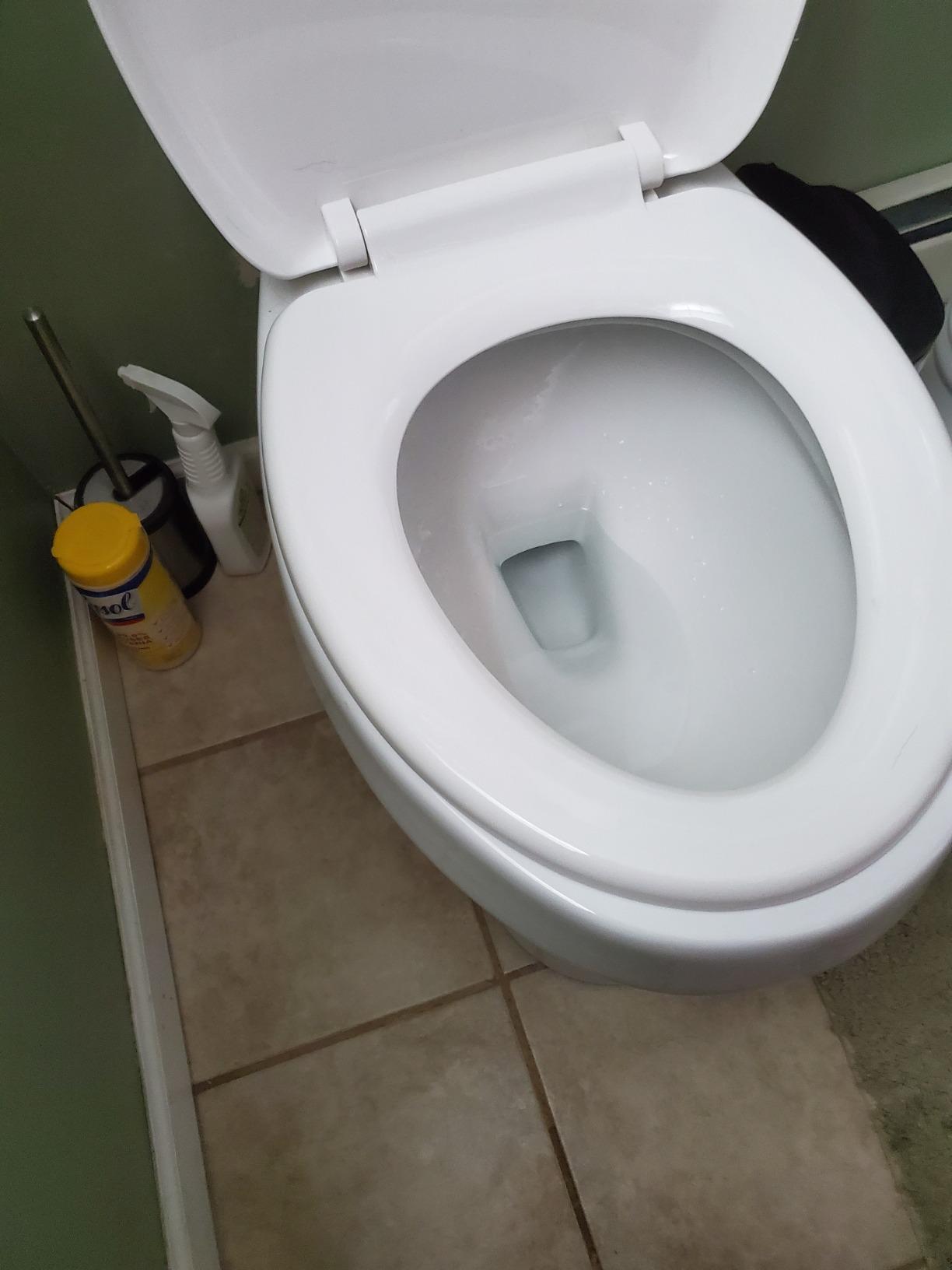 20 inch Extra Tall Toilet. Convenient Height bowl taller than ADA Comfort Height. Dual flush, Metal handle, Slow-close seat customer photo 1