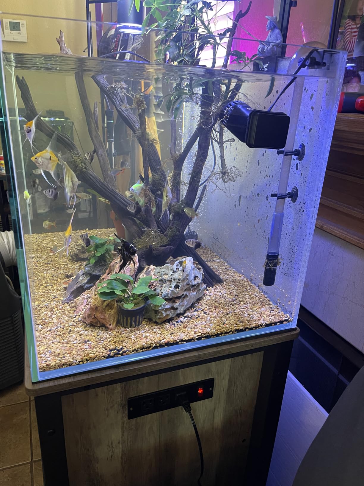LANDEN 90P 55 Gallon Rimless Low Iron Aquarium Tank,W35.4×D19.7×H19.7 in(90x50x50cm) 10mm Thickness with Black Nano Foam Leveling mat Included | 35.4x19.7x19.7in (90x50x50cm),10mm Low Iron Glass, leveling mat Included, Large Freshwater Plant Betta Turtle Aquascape Tank customer photo 1