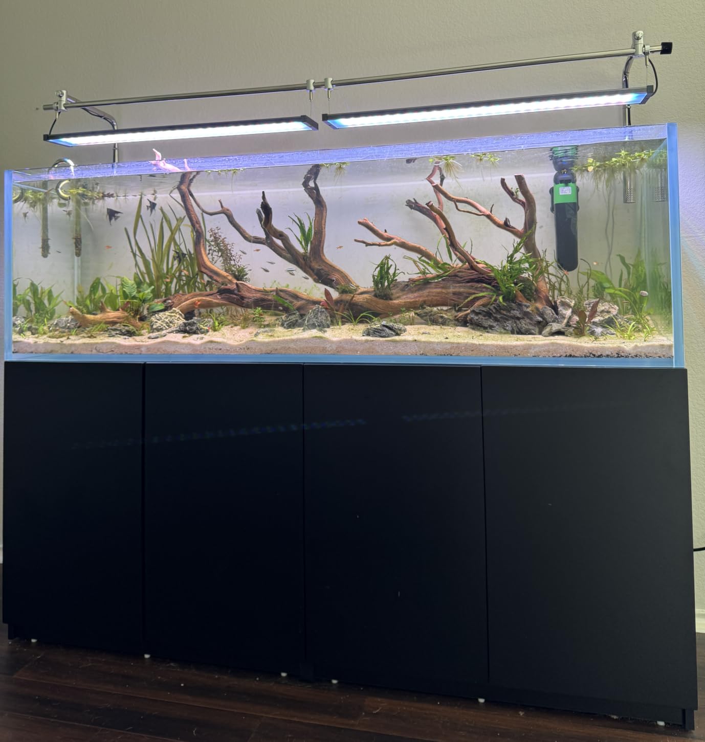 LANDEN 90P 55 Gallon Rimless Low Iron Aquarium Tank,W35.4×D19.7×H19.7 in(90x50x50cm) 10mm Thickness with Black Nano Foam Leveling mat Included | 35.4x19.7x19.7in (90x50x50cm),10mm Low Iron Glass, leveling mat Included, Large Freshwater Plant Betta Turtle Aquascape Tank customer photo 2