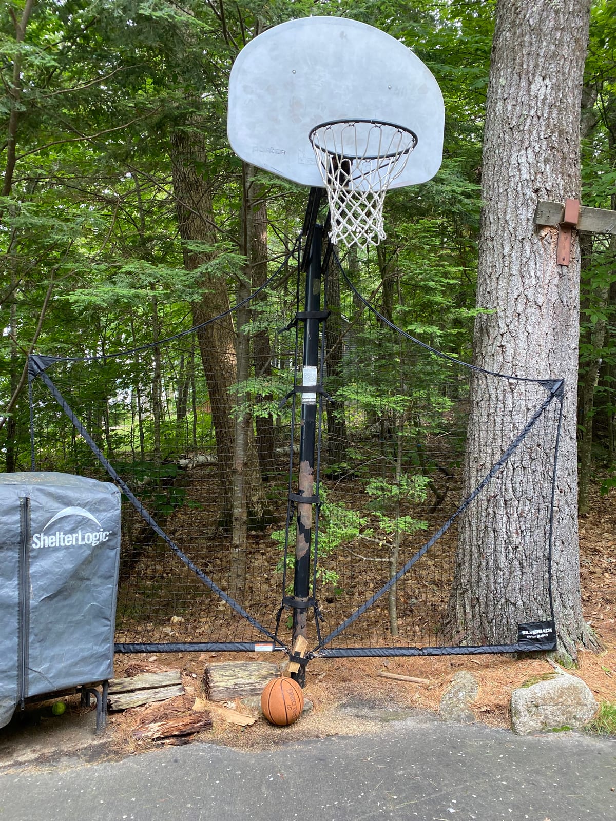 Silverback Basketball Yard Guard Defensive Net System Rebounder with Foldable Net and Arms into Pole, White/Black, Large customer photo 2