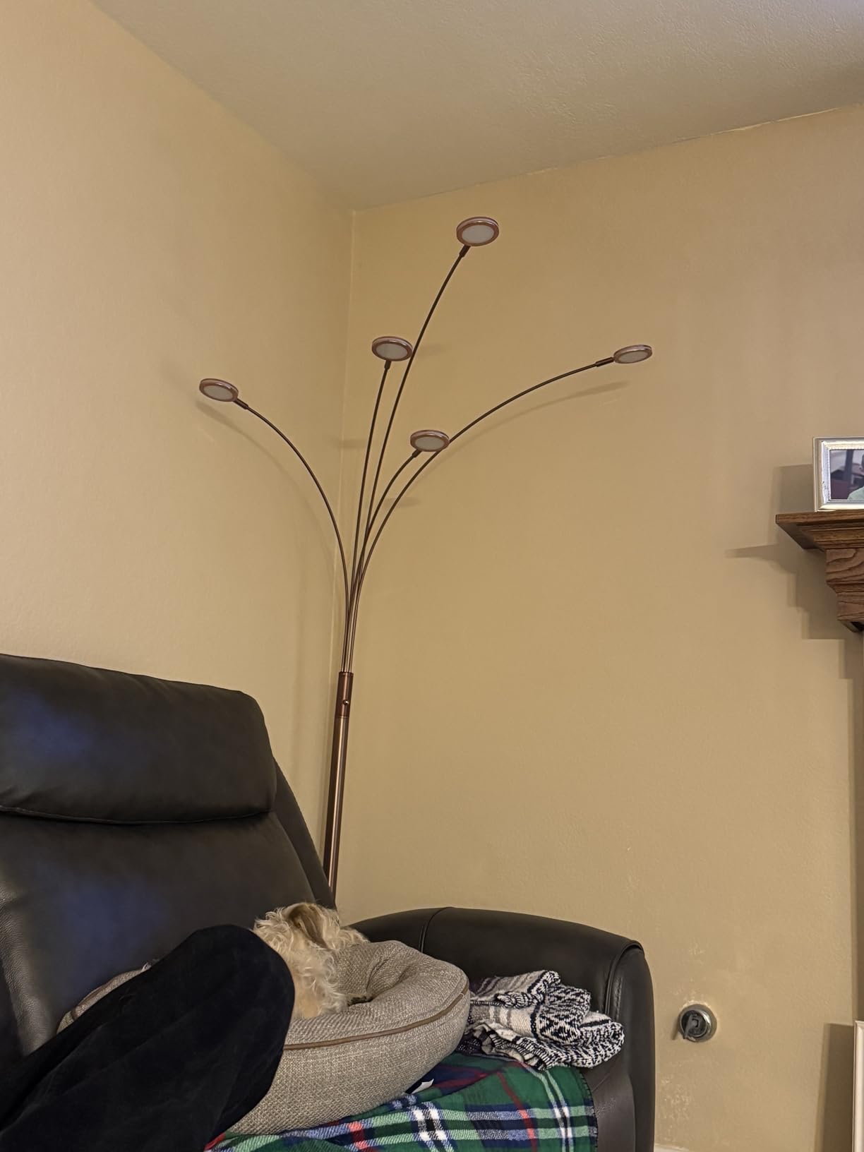 Brightech Orion Arc Floor Lamp for Living Room, Tree Floor Lamp with 5 Adjustable Arms, Multi-Head Standing Lamp with Flexible Rotating LEDs for Bedroom, Dorm - Bright Hanging Lighting - Satin Nickel customer photo 2