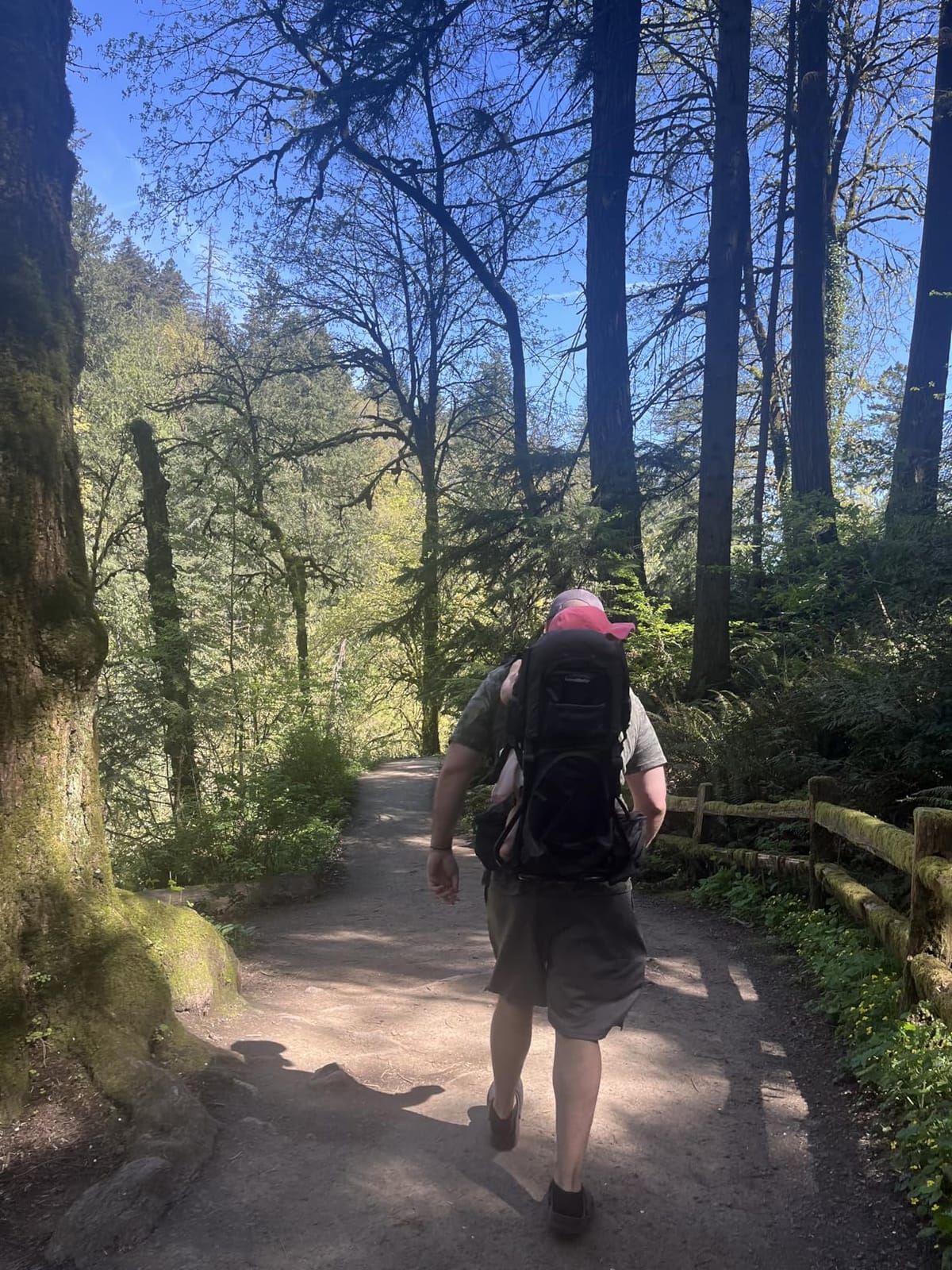 Hiking Baby Carrier Backpack - Toddler & Child Carrier | Includes diaper change pad, insulated pocket, and sun & rain hood to keep your child comfortable on the trail. Up to 40 lbs. customer photo 2