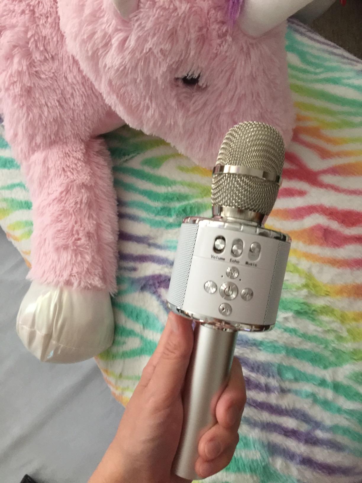 BONAOK Portable Bluetooth Karaoke Mic with Disco Lights for Adults & Kids customer photo 1