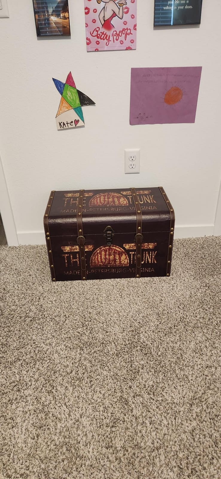 Household Essentials Large Decorative Storage Trunk with Vintage Decoupage, Leather and Metal Accents, Green and Black Finish customer photo 1