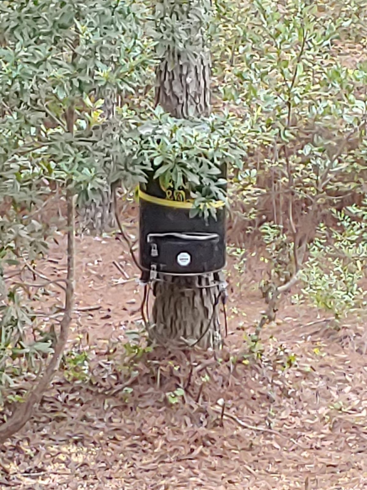 One and Done PRO Game Feeder - Built to Last - Loads 122lbs or 250 lbs (55 Gallon Bear Proof Classic Game Feeder) No Assemble Required customer photo 2