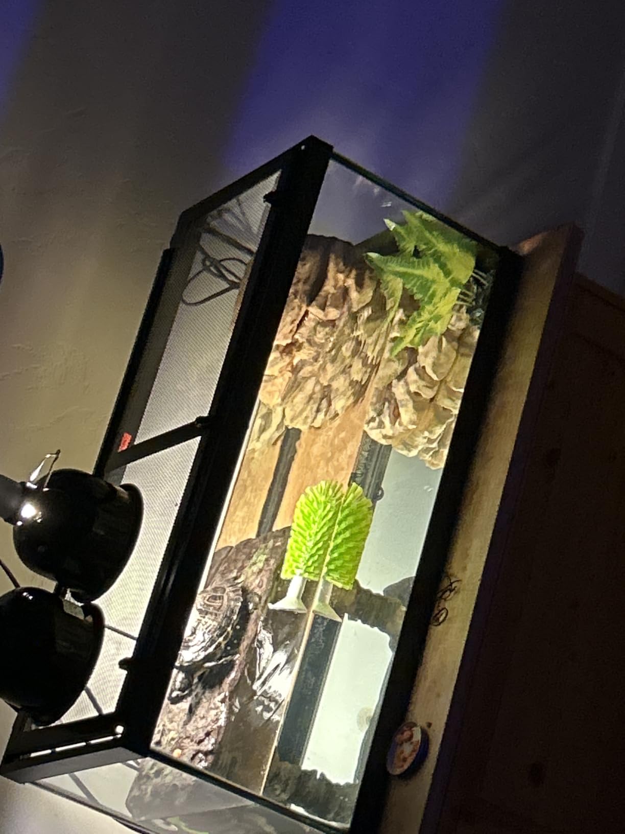 Tetra 20 Gallon Deluxe Aquarium Kit for Aquatic Turtles customer photo 2