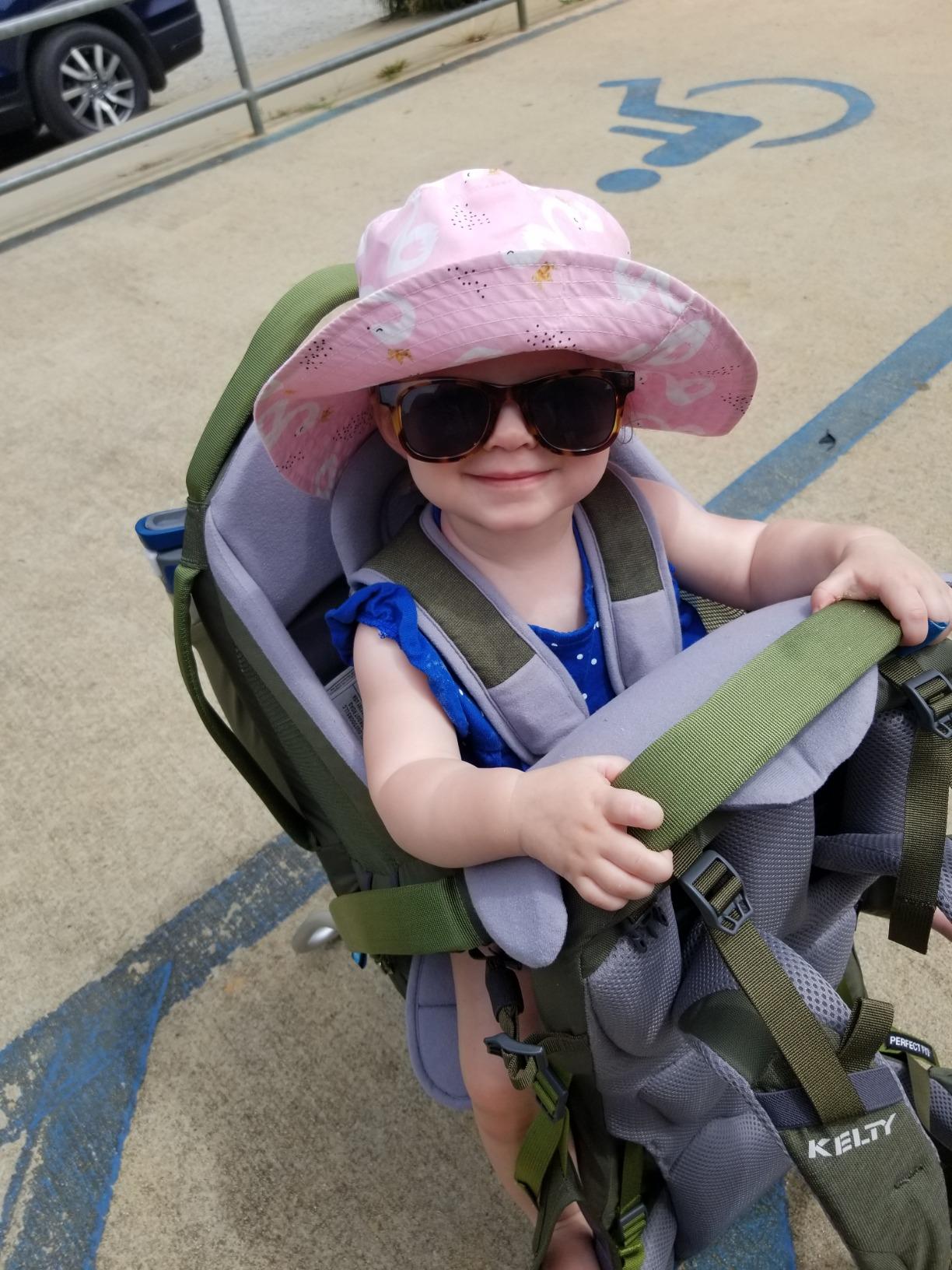 Kelty Journey PerfectFIT ELITE Child Carrier for Infants and Toddlers, Zippered Pockets, Waistbelt, Aluminum Frame, Sunshade customer photo 1