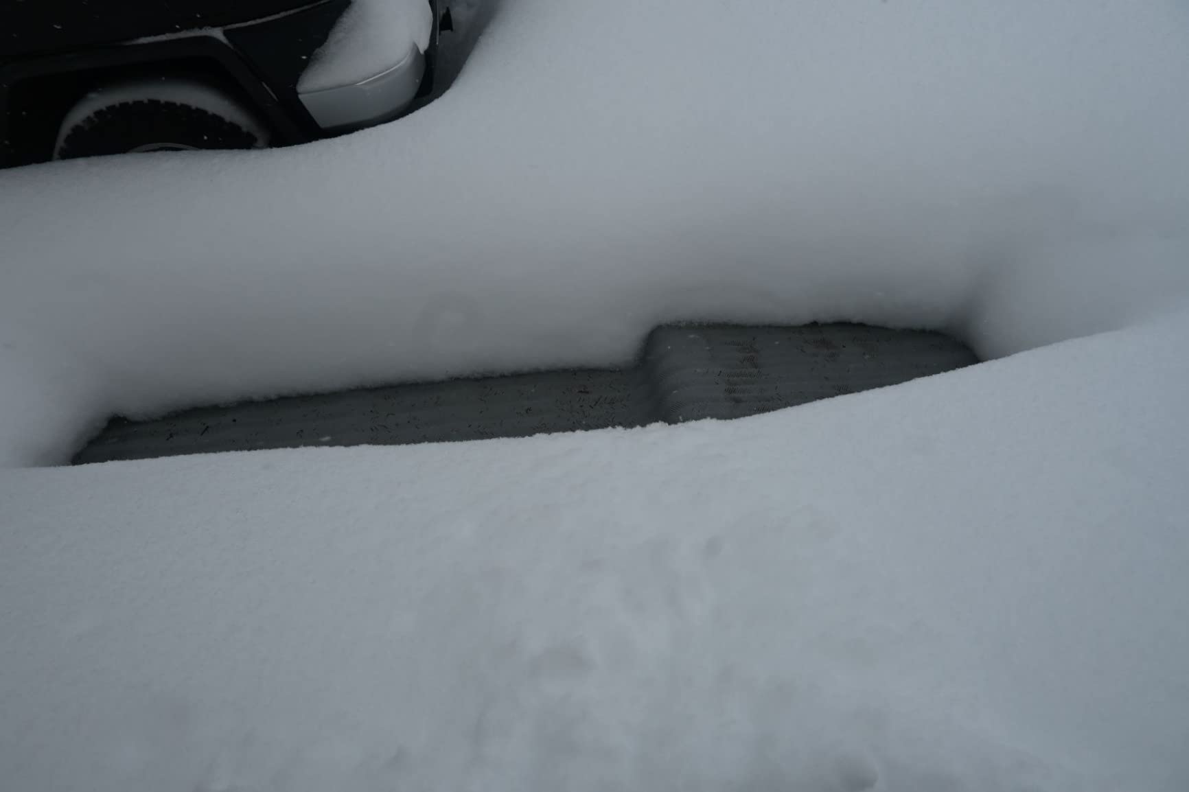 RHS Electric Heated Snow Melting Mats, 30 in x 10 ft Commercial Non-Slip customer photo 2