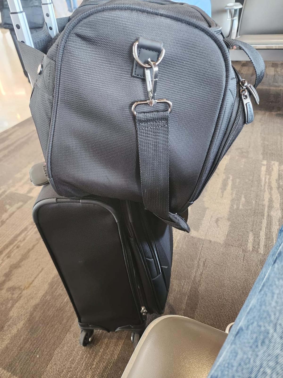 Travelpro Maxlite 5 Softside Checked Luggage Spinner, Black, 29-Inch customer photo 1