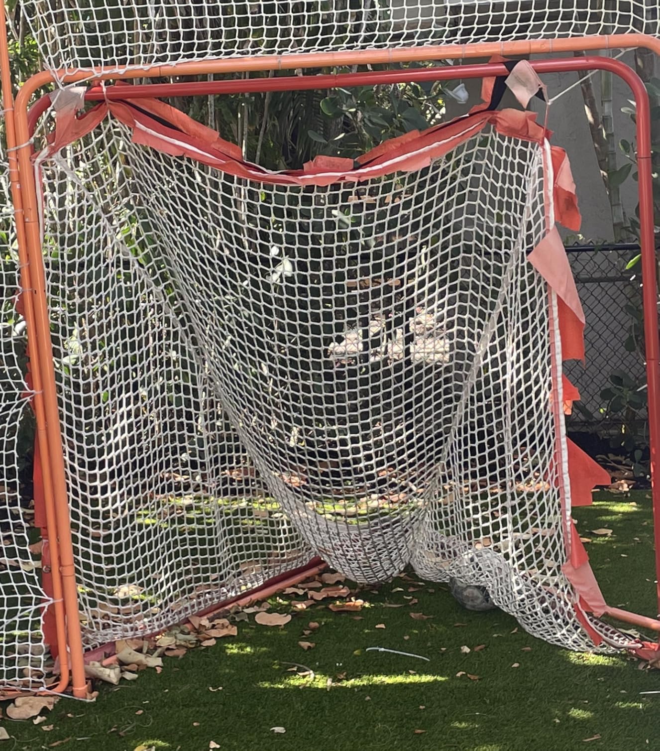 GoSports Regulation 6 ft x 6 ft Lacrosse Net - Steel Frame or Bow Style Frame - The Only Truly Portable Lacrosse Goal, Backyard Setup in Minutes customer photo 1