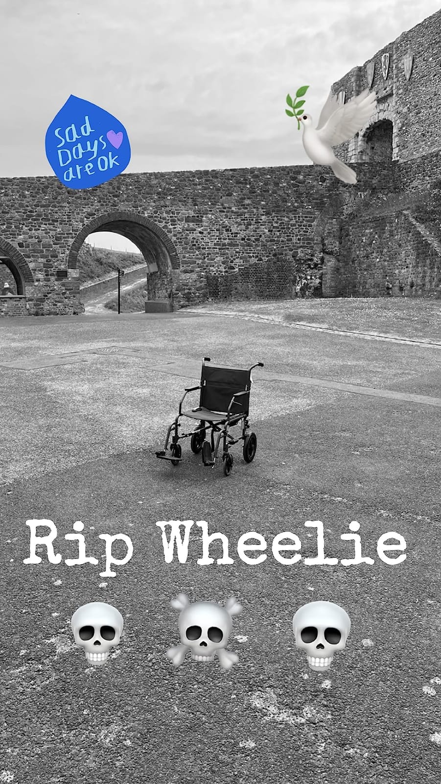 Medline Durable Folding Steel Transport Wheelchair with 12-Inch Wheels, 19-Inch Seat Width, Gray Frame, Microban, Teal Upholstery customer photo 1