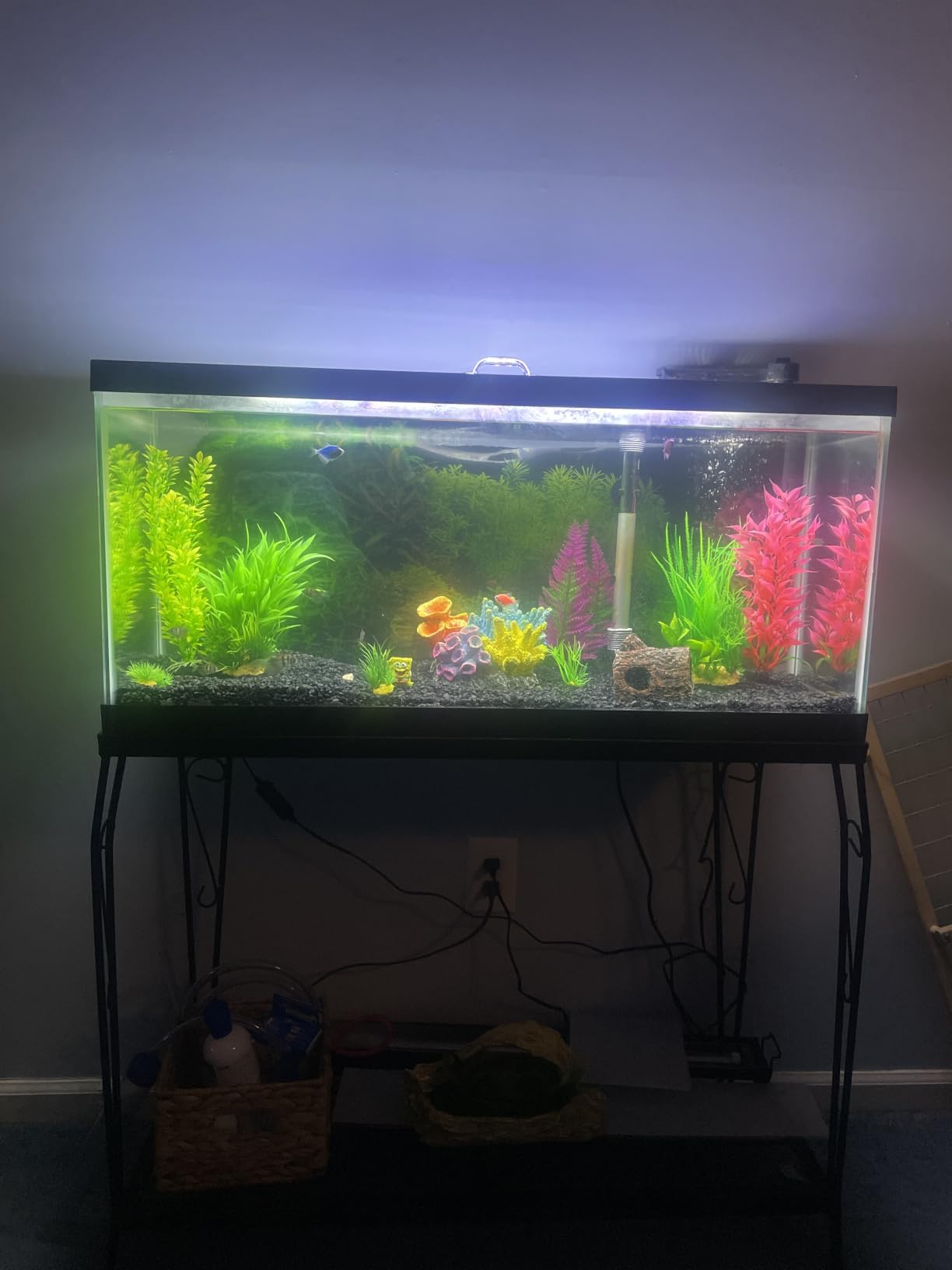 AQUANEAT LED Aquarium Light Full Spectrum 12 Inch Fish Tank Light Fresh Water customer photo 1