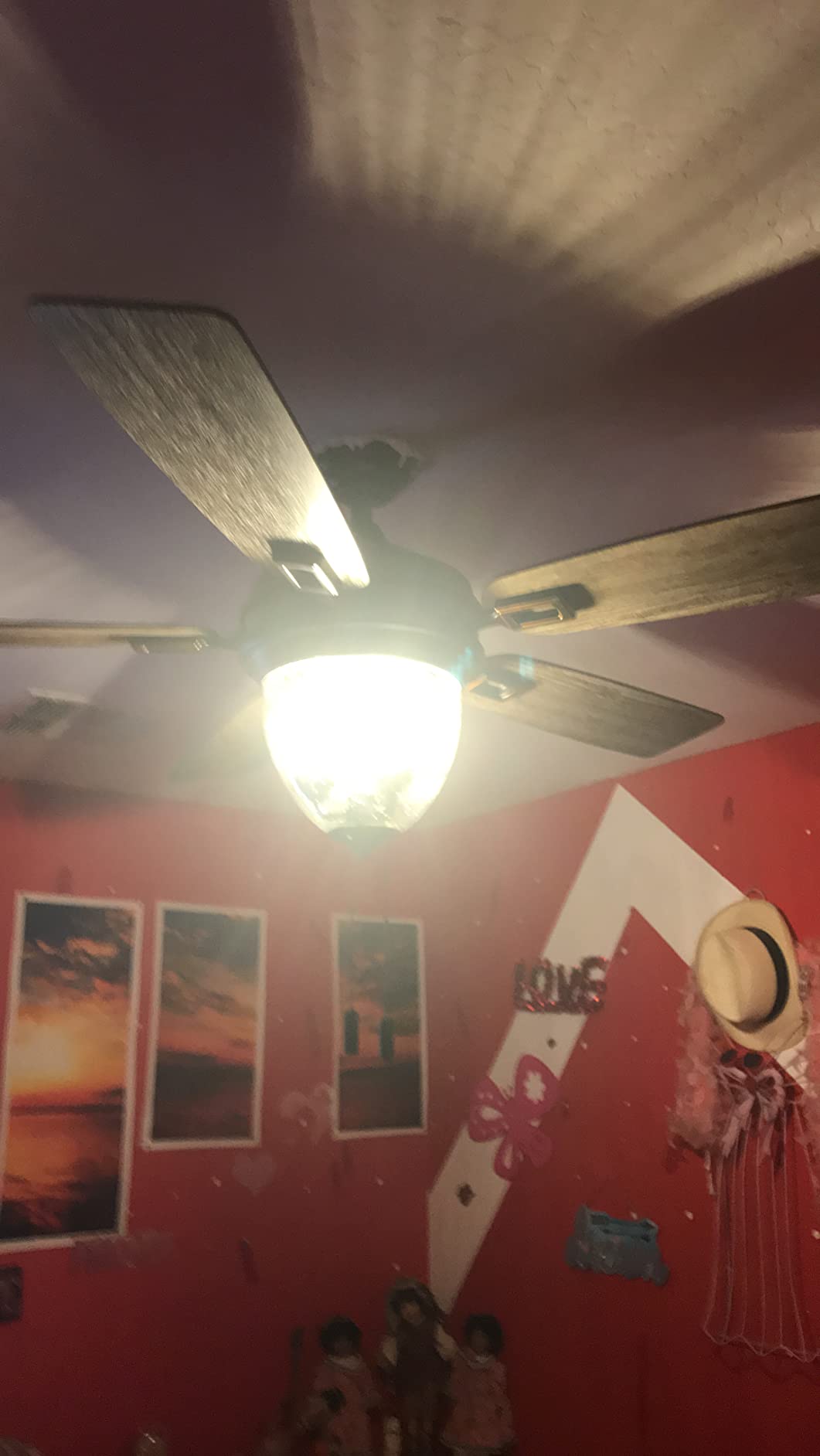 Honeywell Ceiling Fans Glencrest, 52 Inch Indoor Outdoor LED Ceiling Fan with Light, Pull Chain, Dual Mounting Options, ETL Damp Rated, Dual Finish Blades, Reversible Motor - 50615-01 (Bronze) customer photo 2