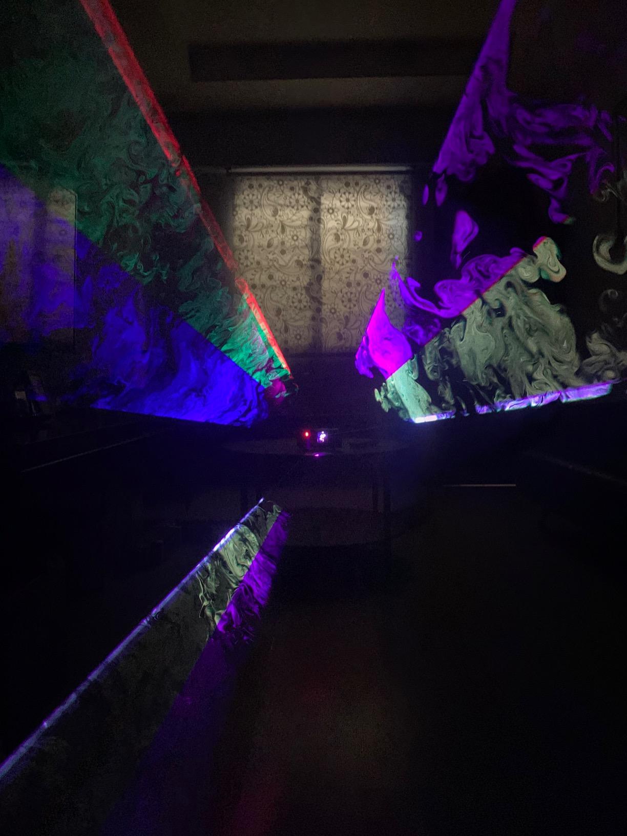 Professional RGB Laser Party Lights,Sound Activated DJ Disco Light,DMX512 Remote Control Scanner Beam Effect Lazer Projector Lighting for Show KTV Bar Club School Dances Corporate Event Mobile DJs customer photo 2