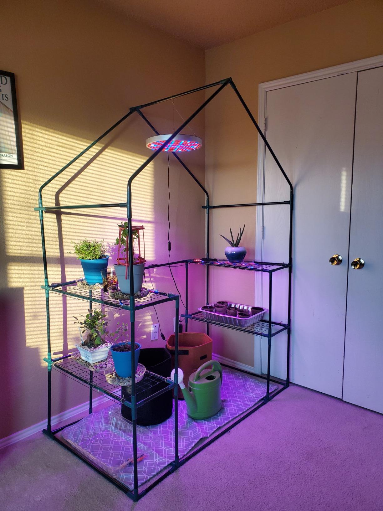 Nova Microdermabrasion Walk-in Greenhouse for Outdoors, 57 x 57 x 77 inch, Portable PE Cover Greenhouse with Anchors and Ropes Indoor Outdoor-3 Tier 8 Wired Shelves Plant Gardening Hot House customer photo 2