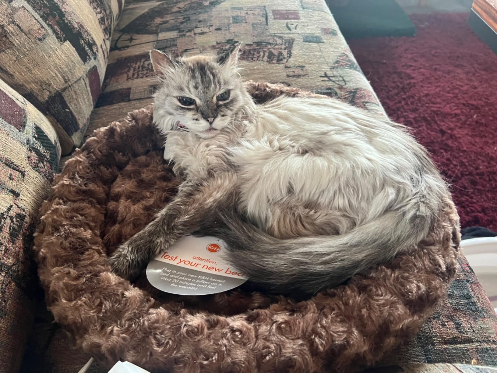 K&H Pet Products Thermo-Kitty Fashion Splash Heated Cat & Dog Bed, Orthopedic Foam, Safety Listed, 18in Round, 4W, Blue customer photo 2