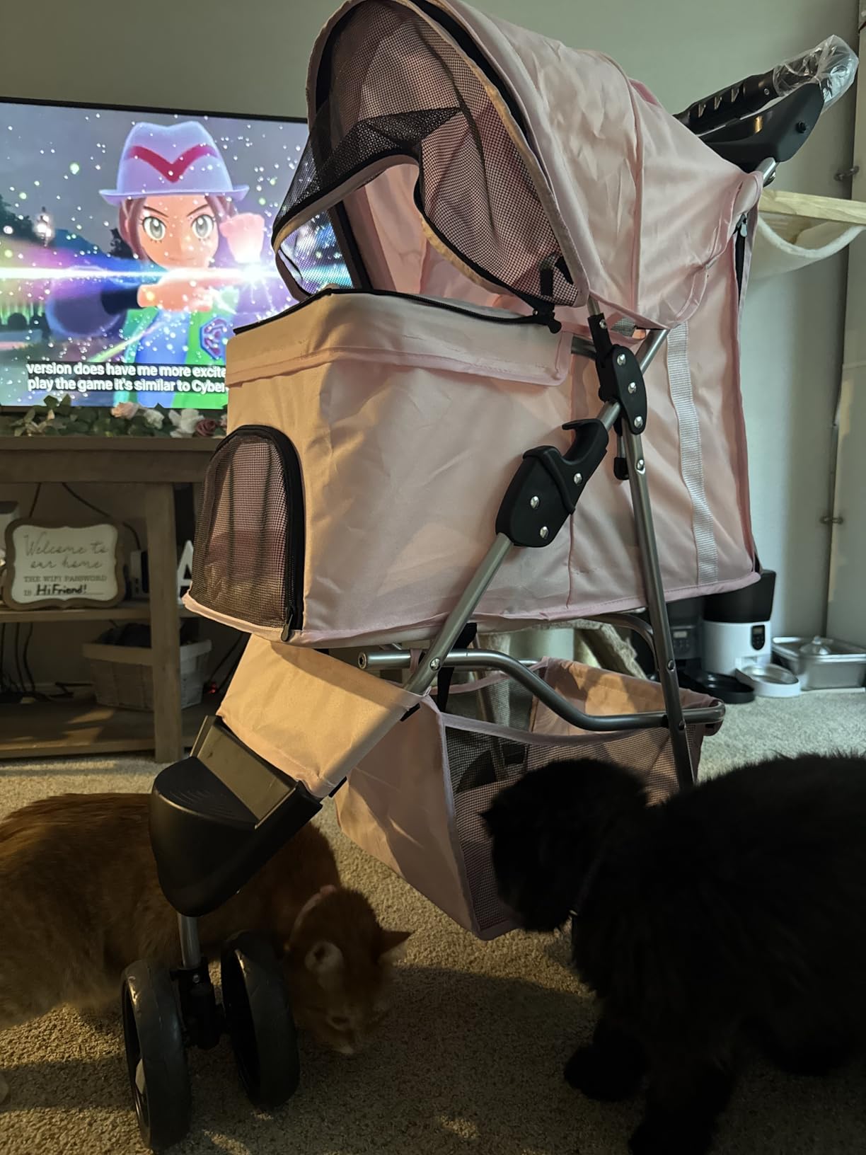TRIXIE Foldable Pet Stroller for Cats and Dogs, Pet Carrier Strolling Cart with Weather Cover, Storage Basket, Cup Holder, Black customer photo 2